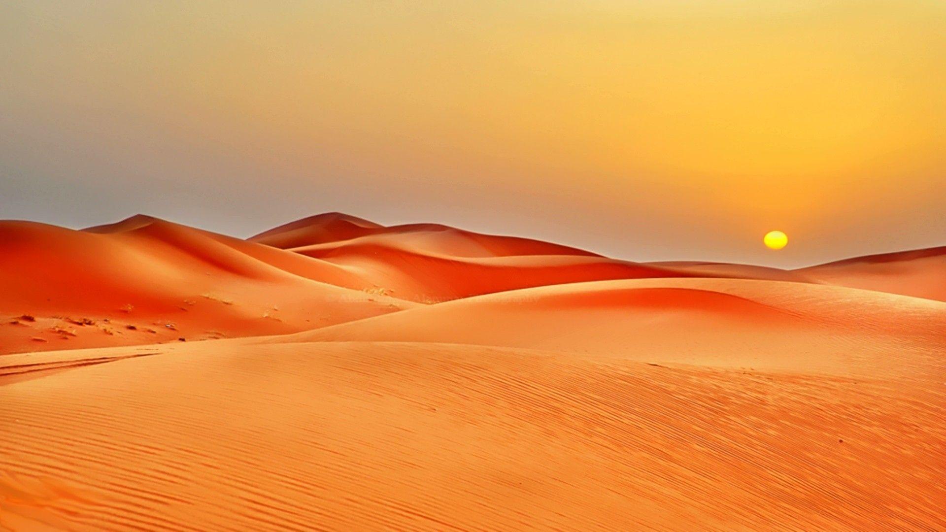 Nature sun desert sand dunes wallpaper. PC