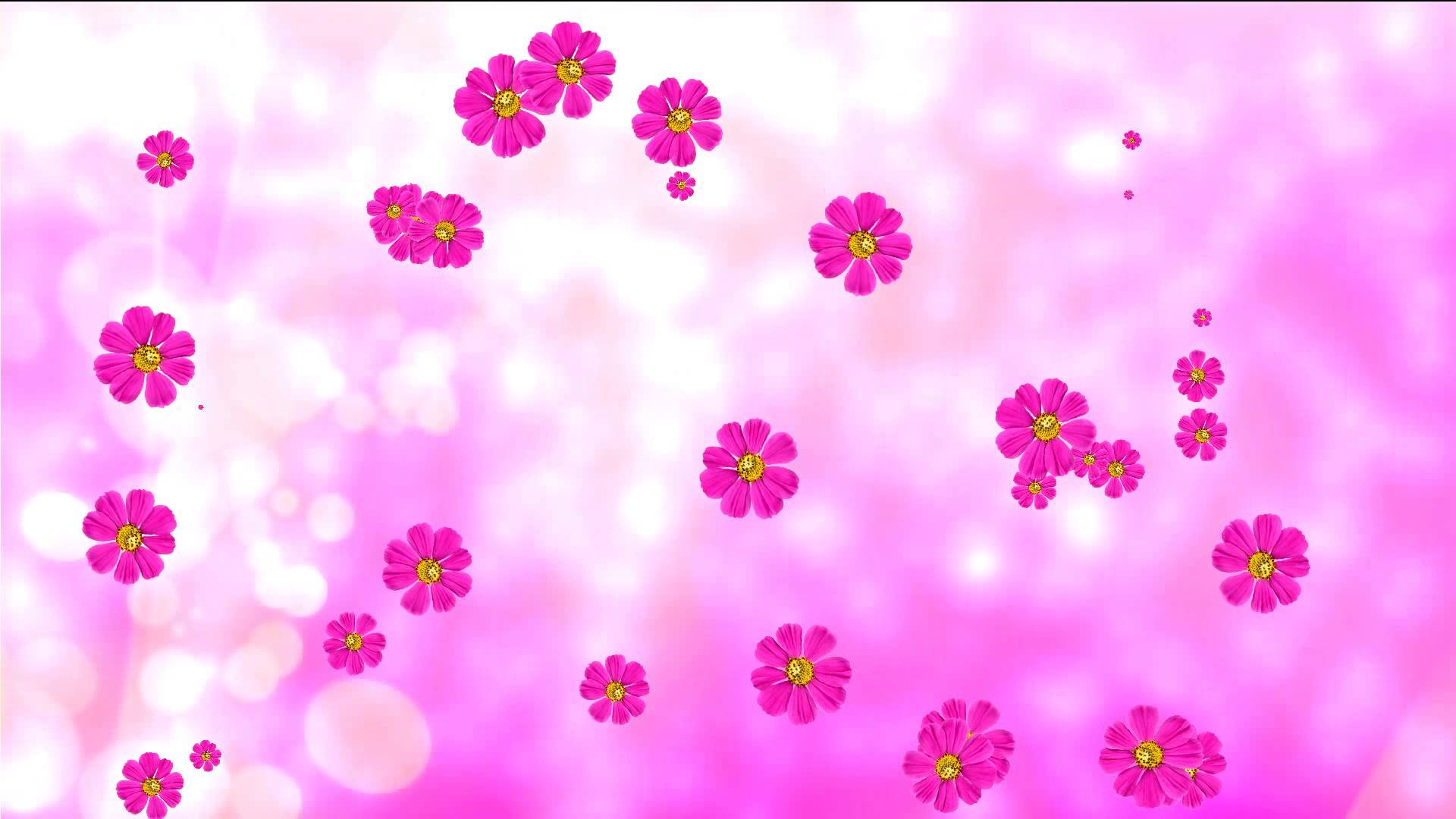 Purple animated flowers and pink background. Flower background