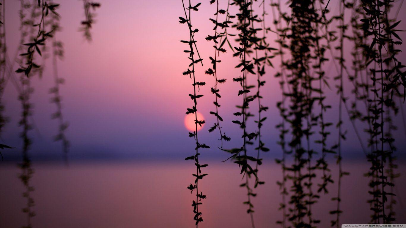 Beautiful Sunset ❤ 4K HD Desktop Wallpaper for 4K Ultra HD TV