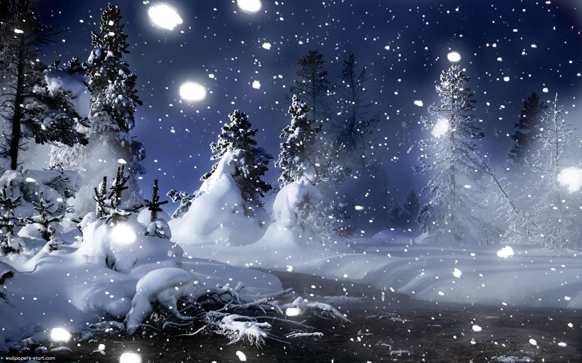 Snowy Night Full HD Wallpaper 14652