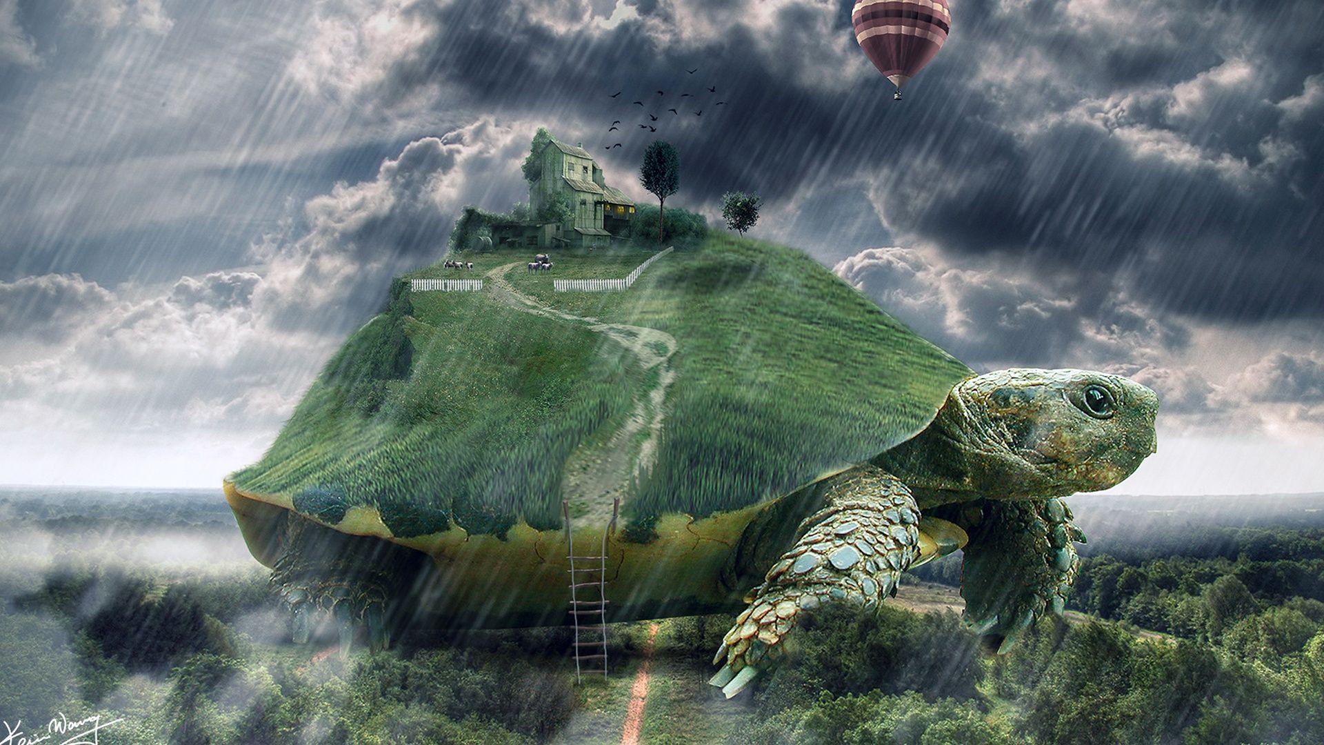 Turtle Landscape Surreal desktop PC and Mac wallpaper