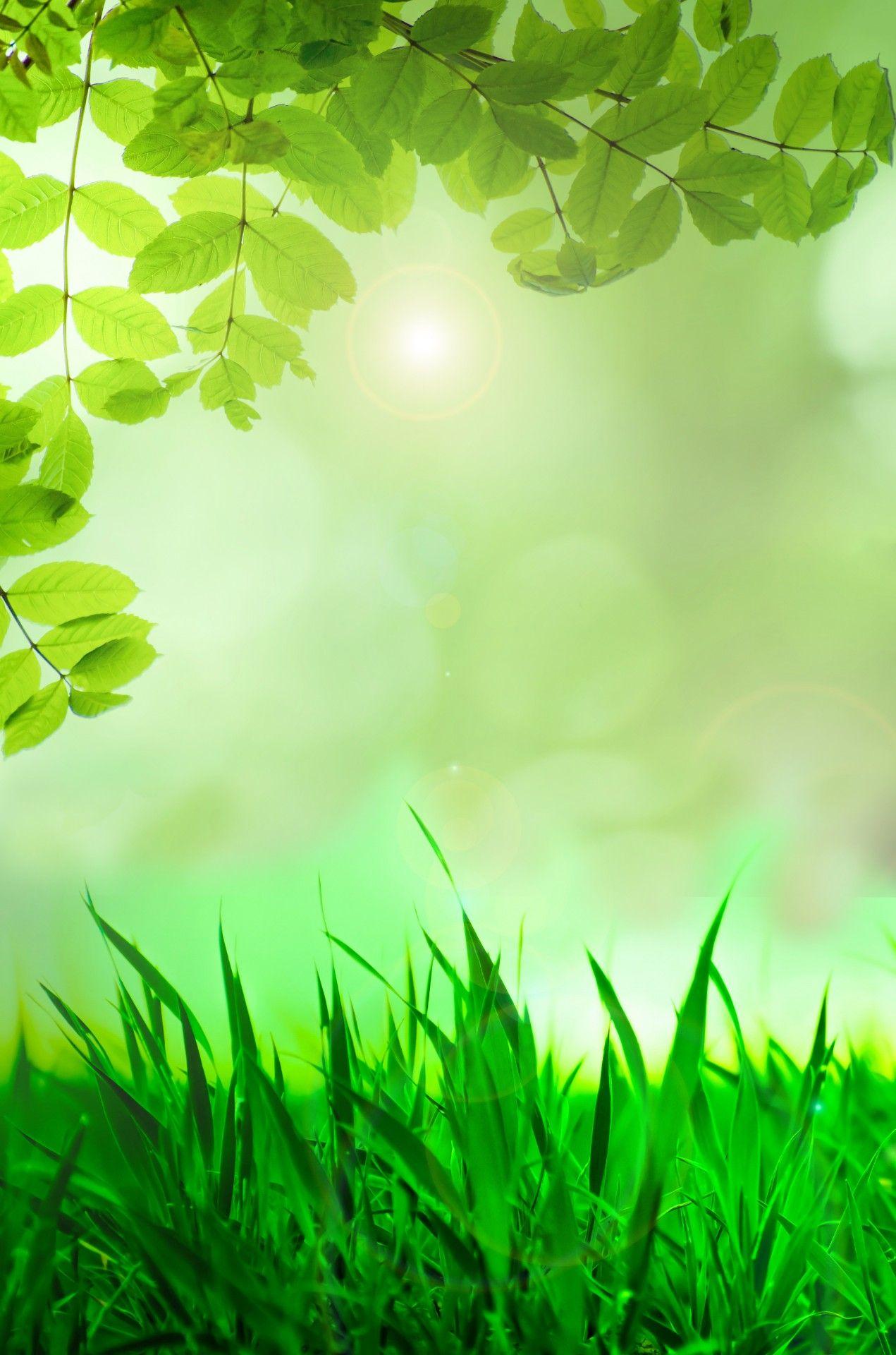 Natural Green Background Free Domain Picture