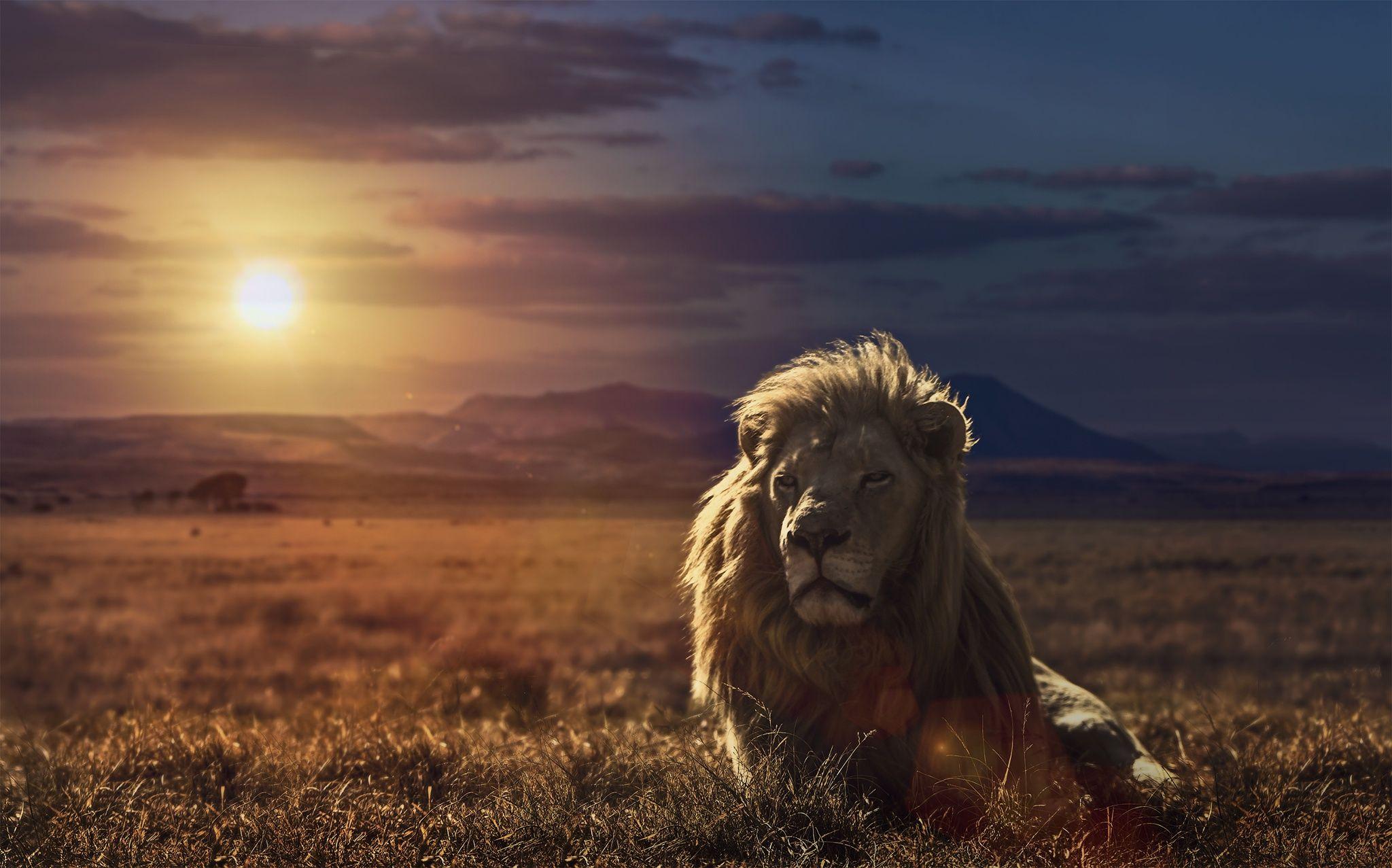 Serengeti HQ #Wallpaper