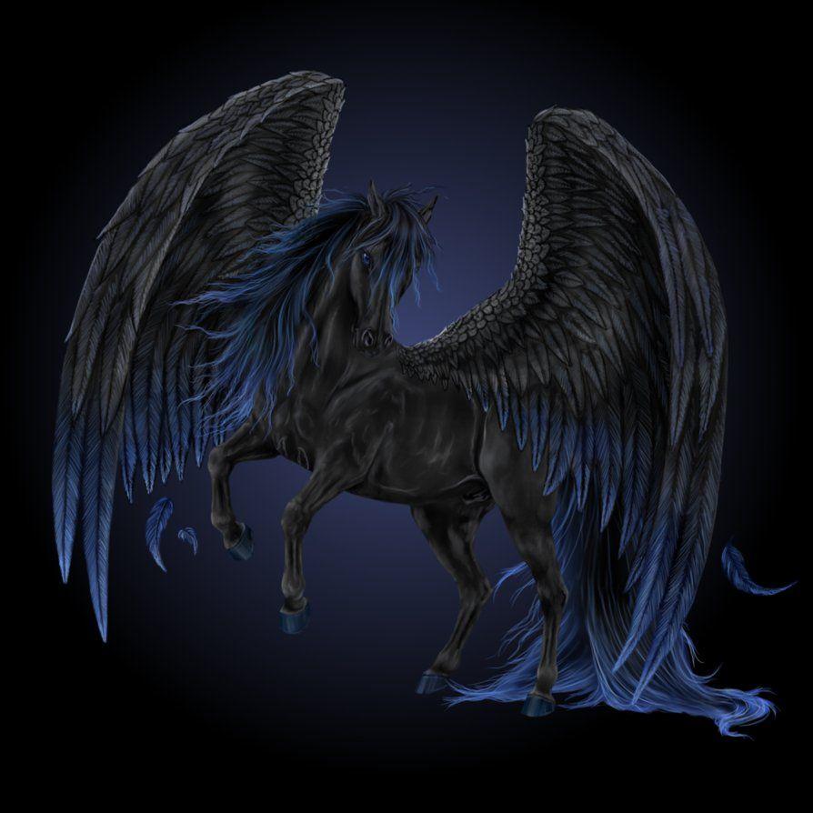 Dark Pegasus Image On HD Wallpaper