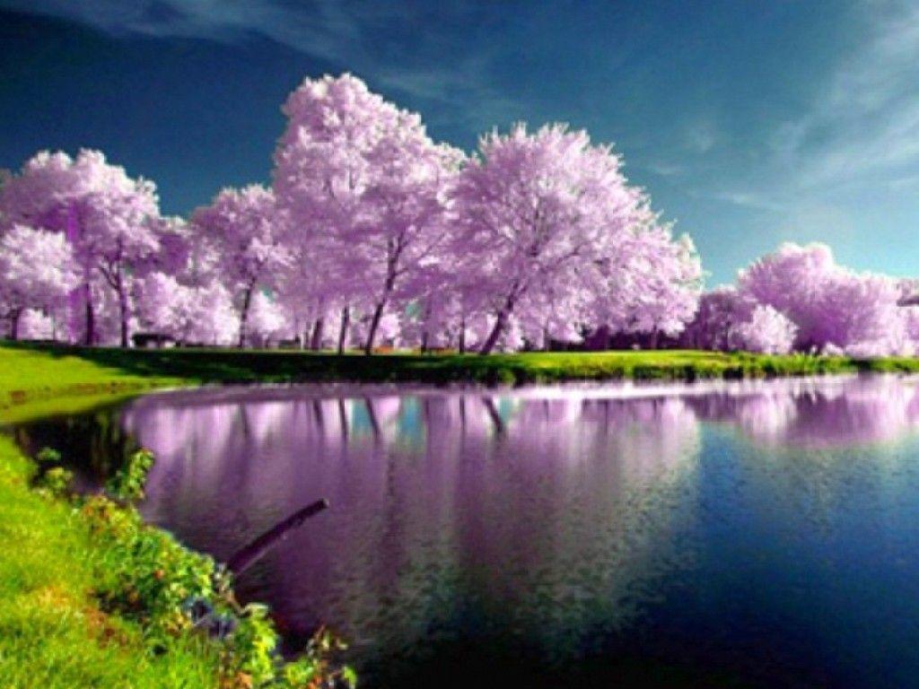 Landscape Spring Wallpapers - Wallpaper Cave