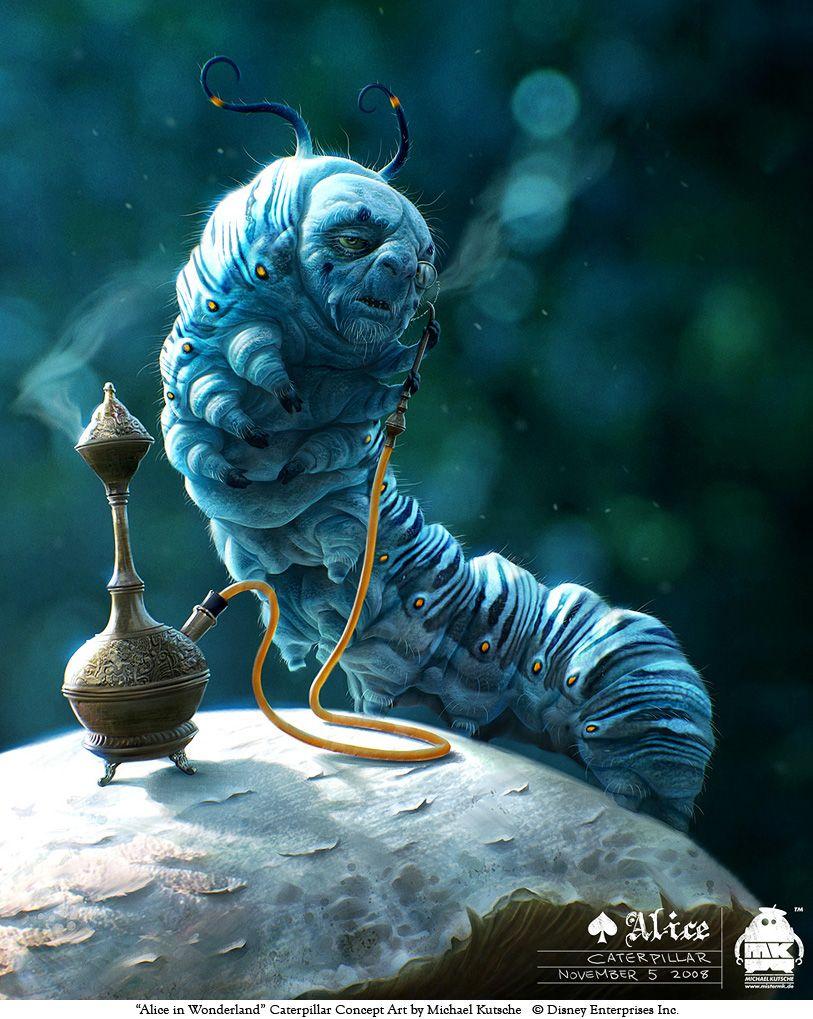 Caterpillar Alice In Wonderland Tim Burton HD Wallpaper, Background