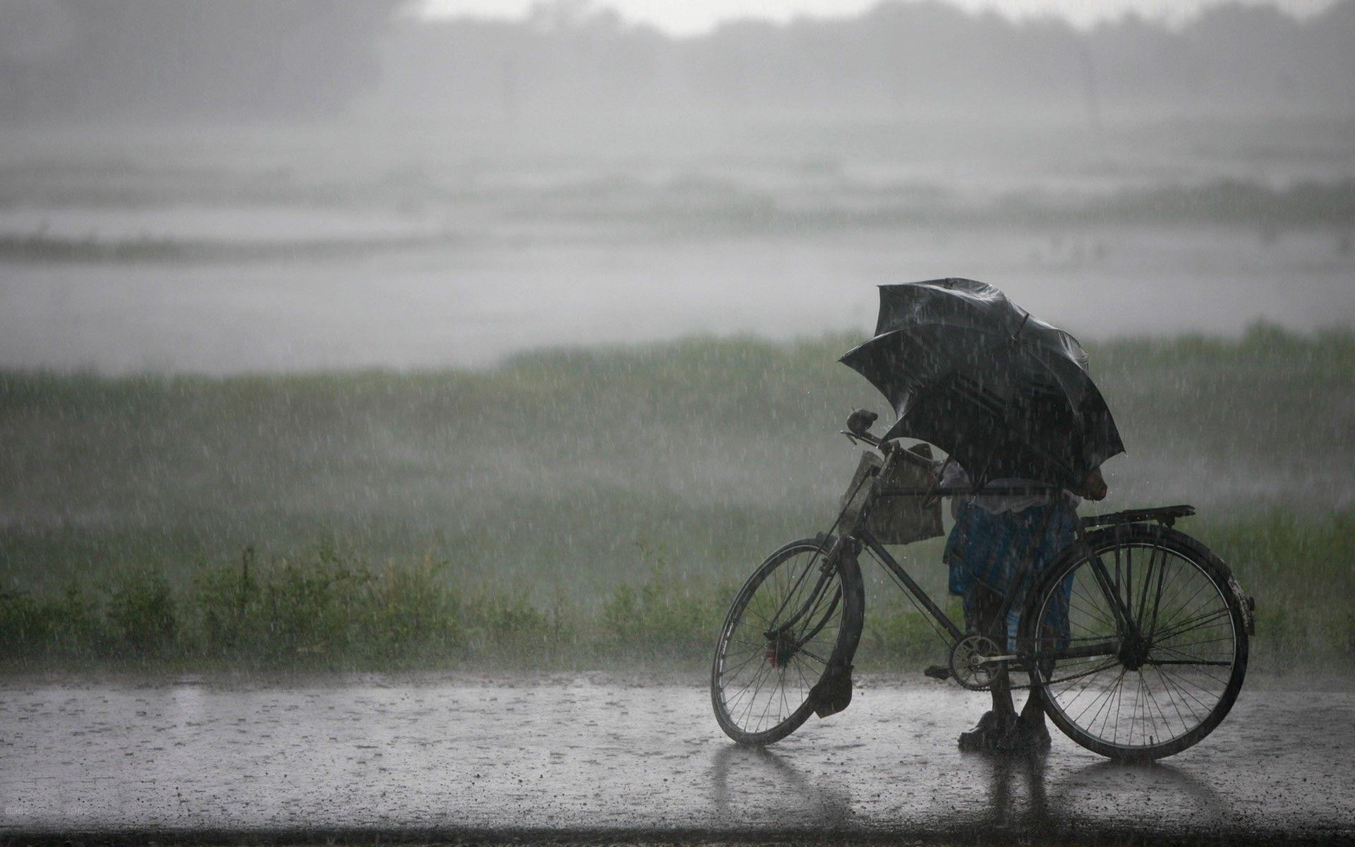 Current monsoon spell to continue for 7 more days: Met Office