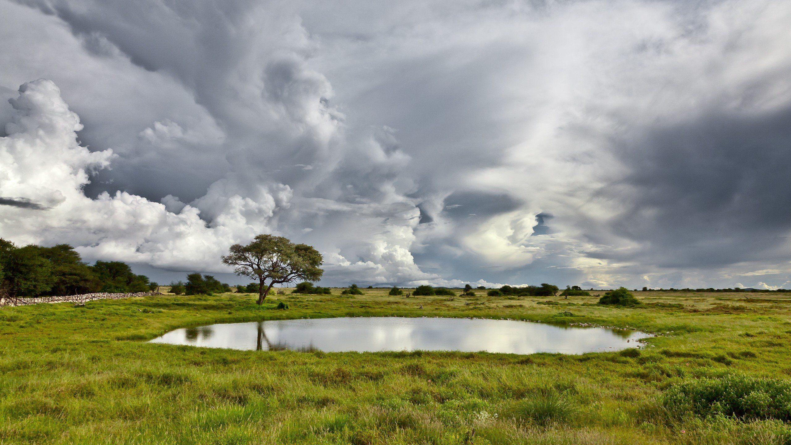 Monsoon Wallpaper Free Download HD Beautiful Amazing Rainy Image