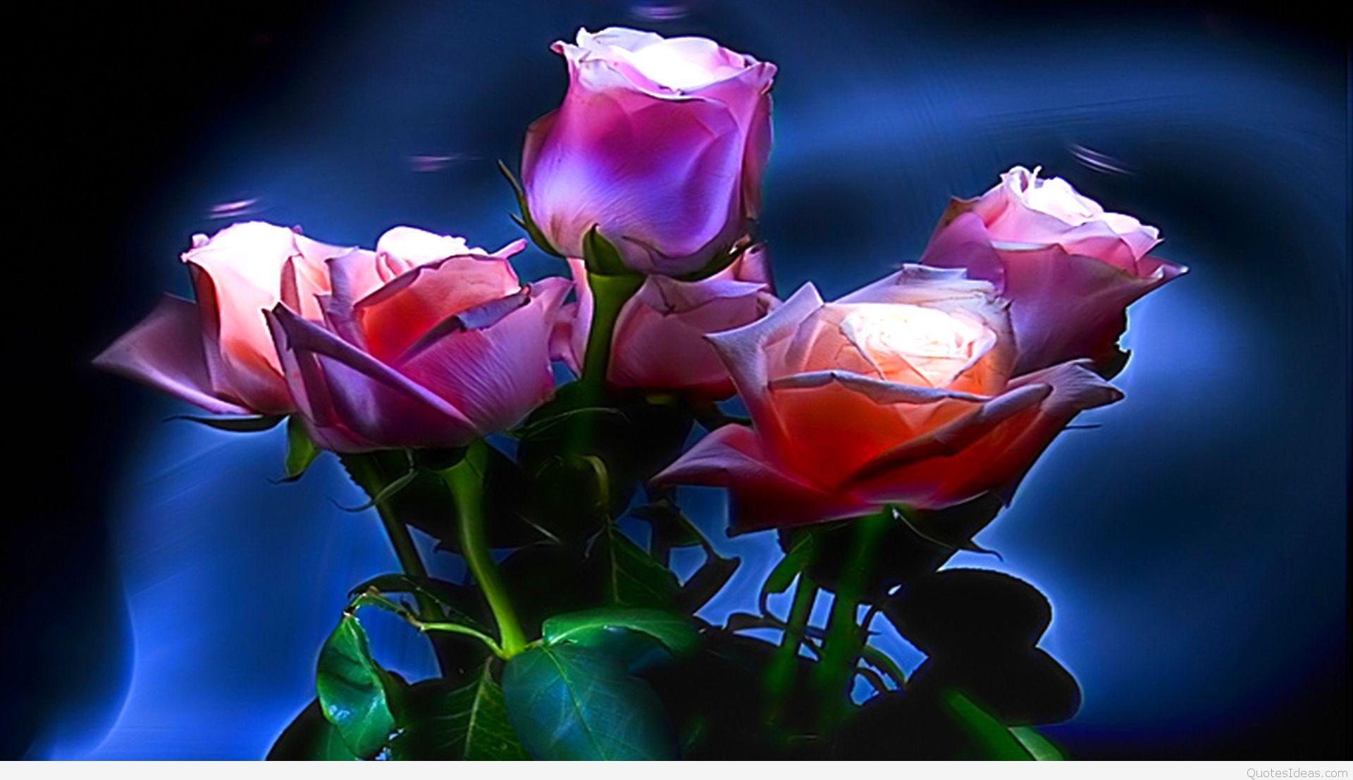 Wallpaper birthday quotes and top cards birthday wishes