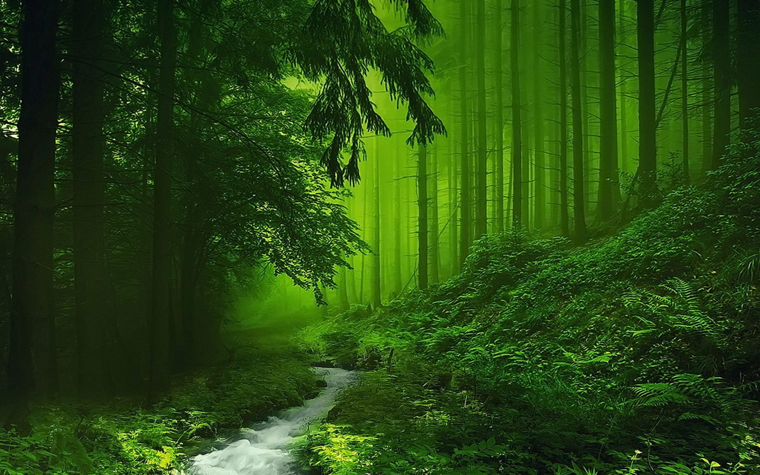 Green Scenery Wallpapers HD - Wallpaper Cave