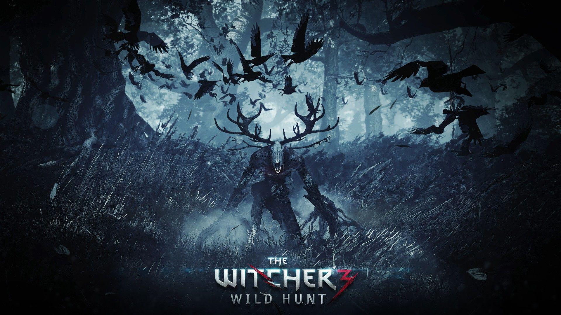 The Witcher 3 Wild Hunt Video Game, HD Games, 4k Wallpaper, Image