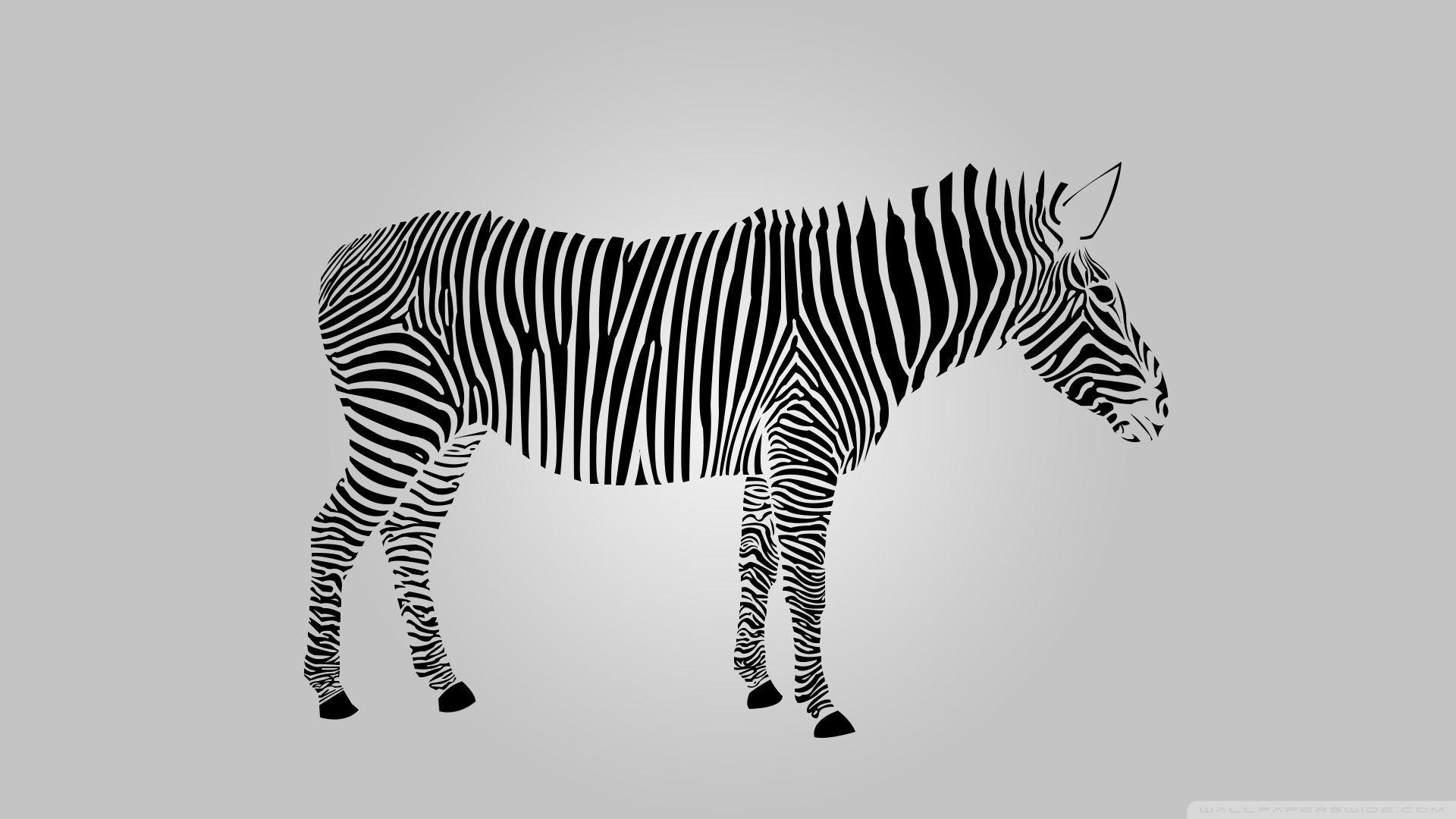 Zebra ❤ 4K HD Desktop Wallpaper for 4K Ultra HD TV • Wide & Ultra