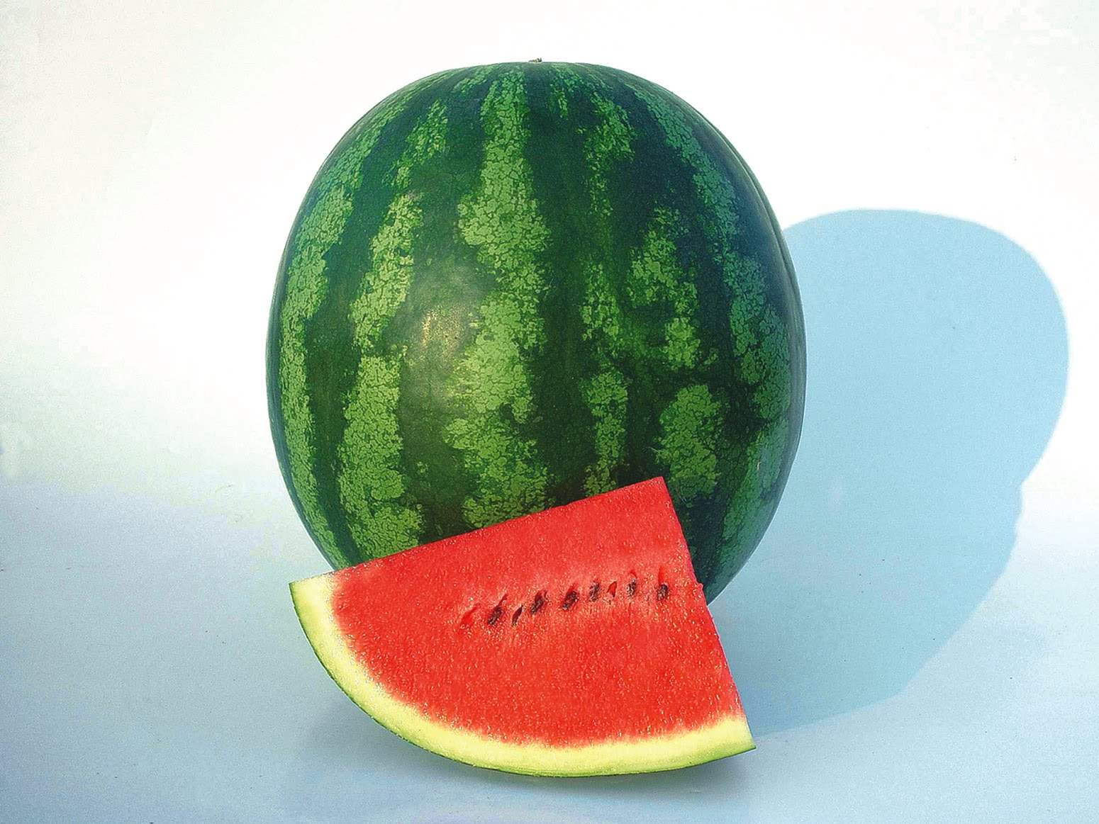 Hd Wallpaper Of Fruits Of Watermelon. Full Desktop Background