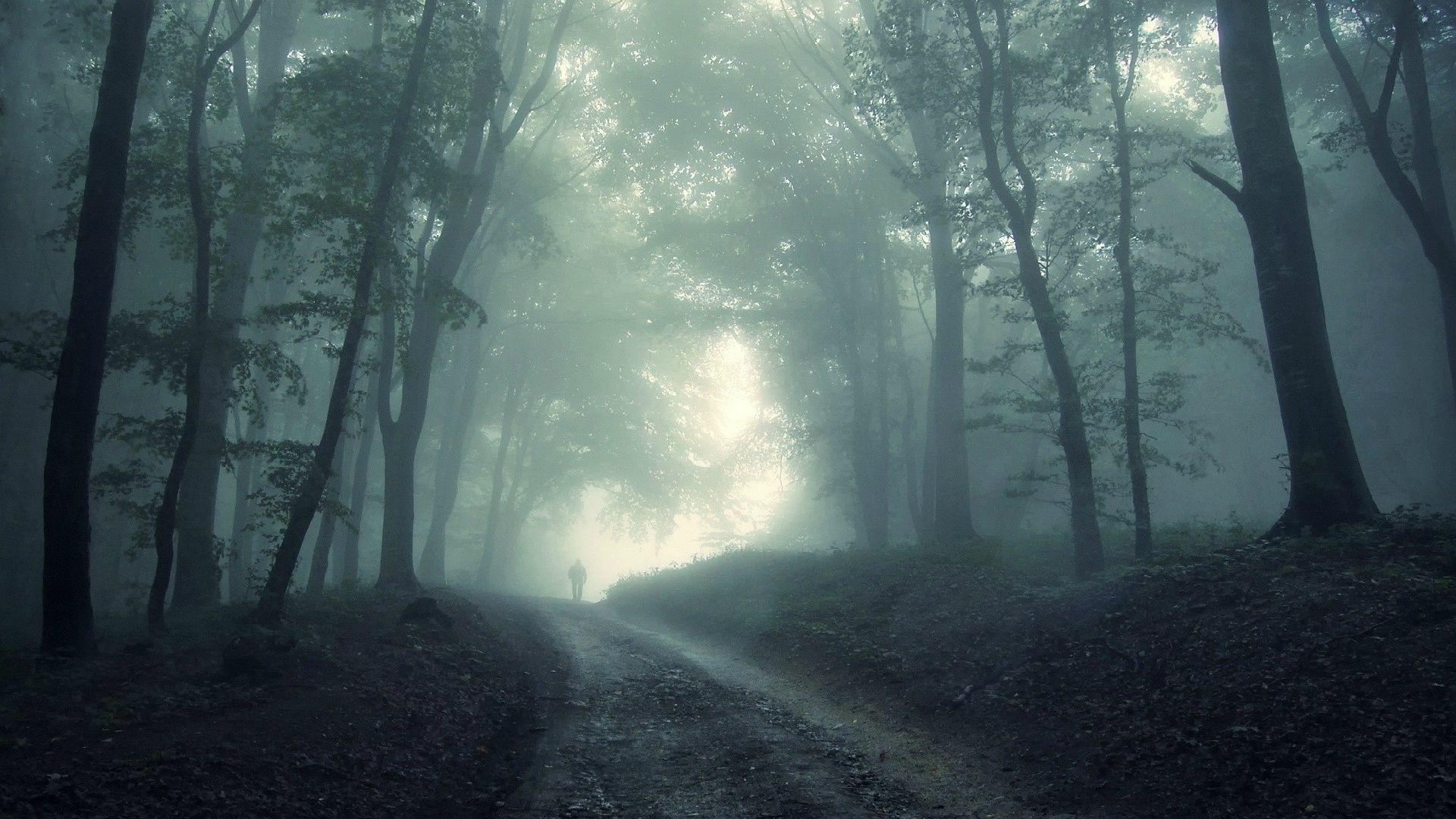 Download Dark Forest Wallpaper High Quality Is Cool Wallpaper