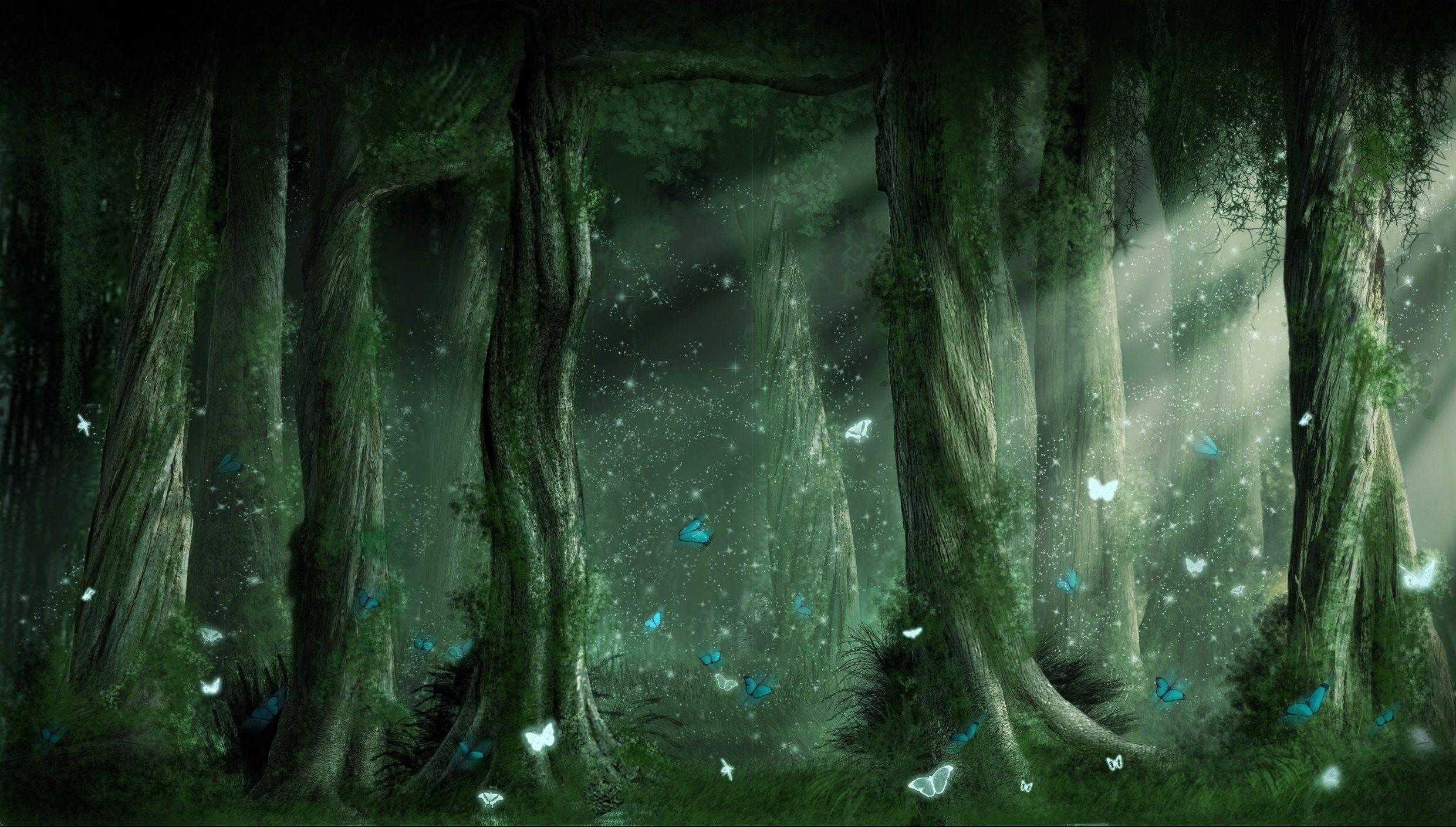 Dark Forest Wallpaper 4k Desktop Computer For iPhone Background