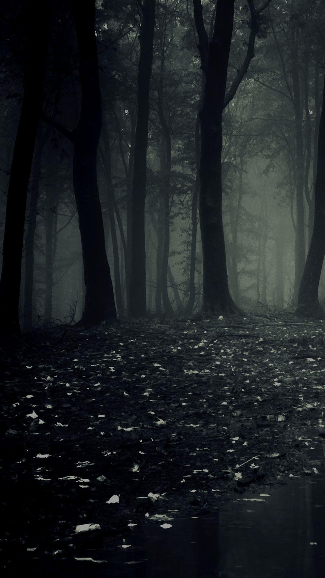 Dark Forest Free Background For Your Cell Phone
