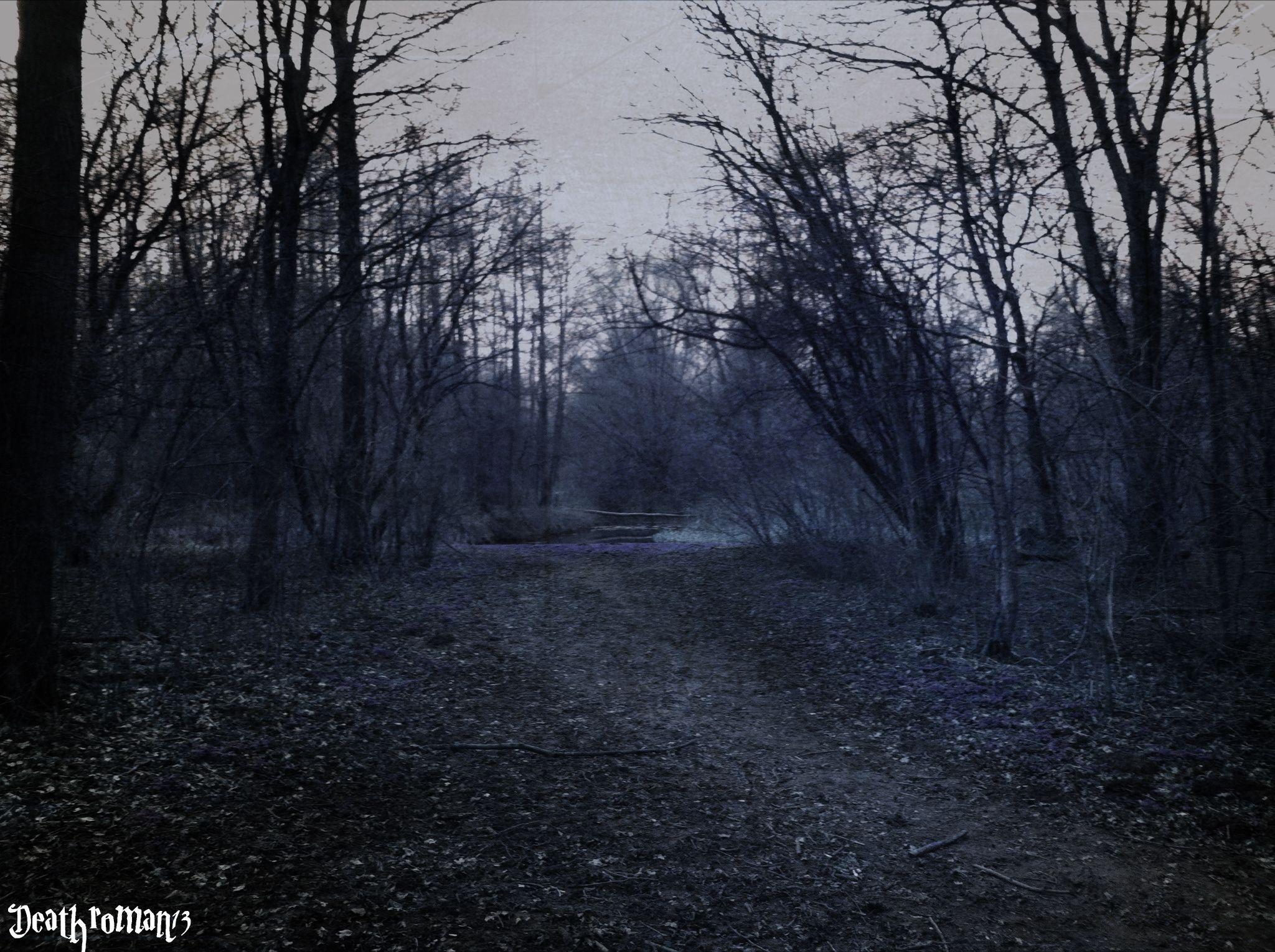 deathroman13 image Dark Forest HD wallpaper and background photo