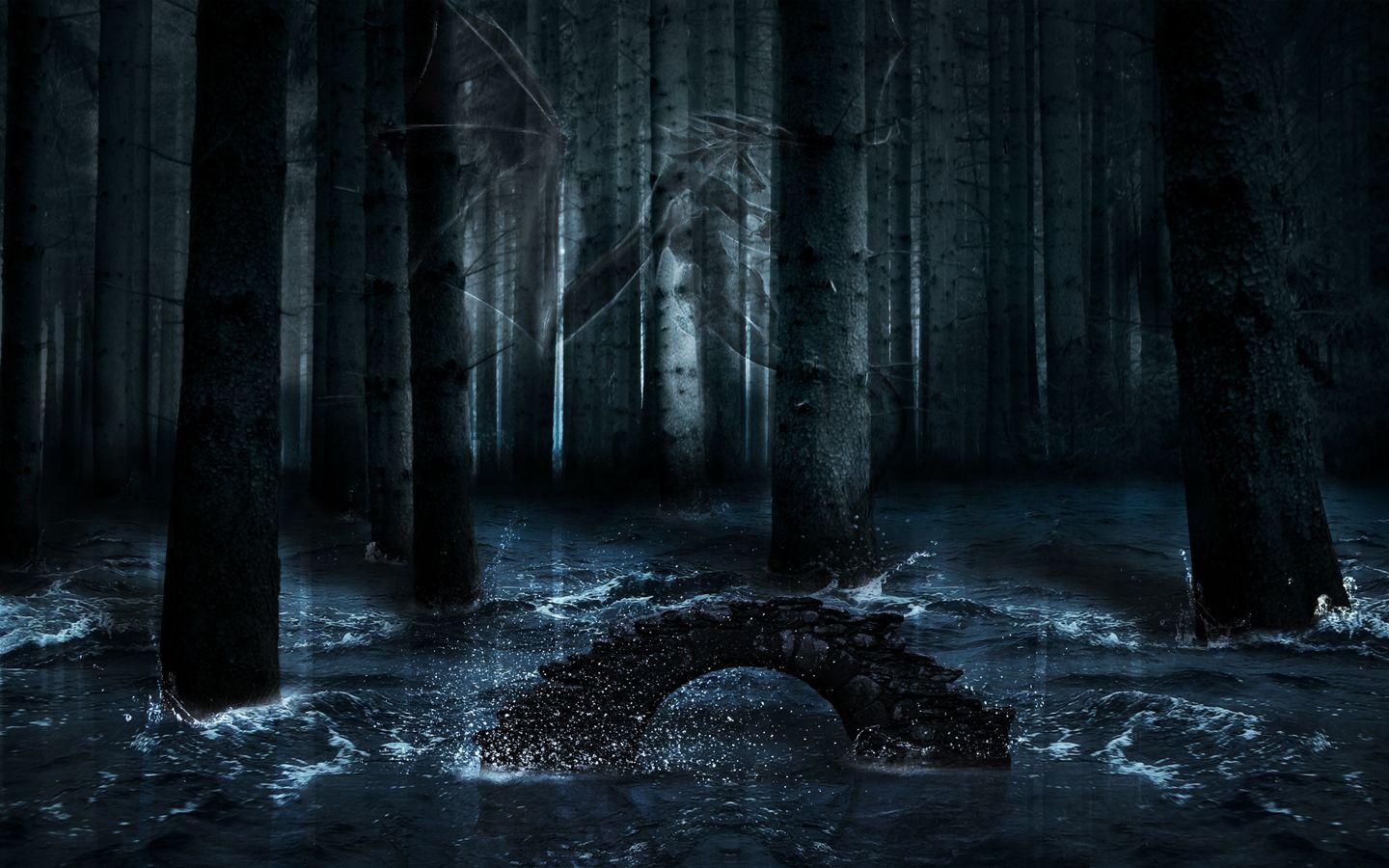 dark forest background with moon 9997. Background Check All