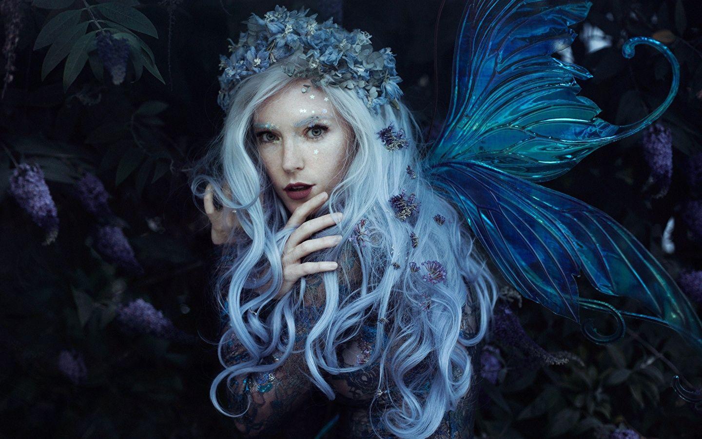 Wallpaper Fairies Blonde girl Wings Bella Kotak, Jessica 1440x900