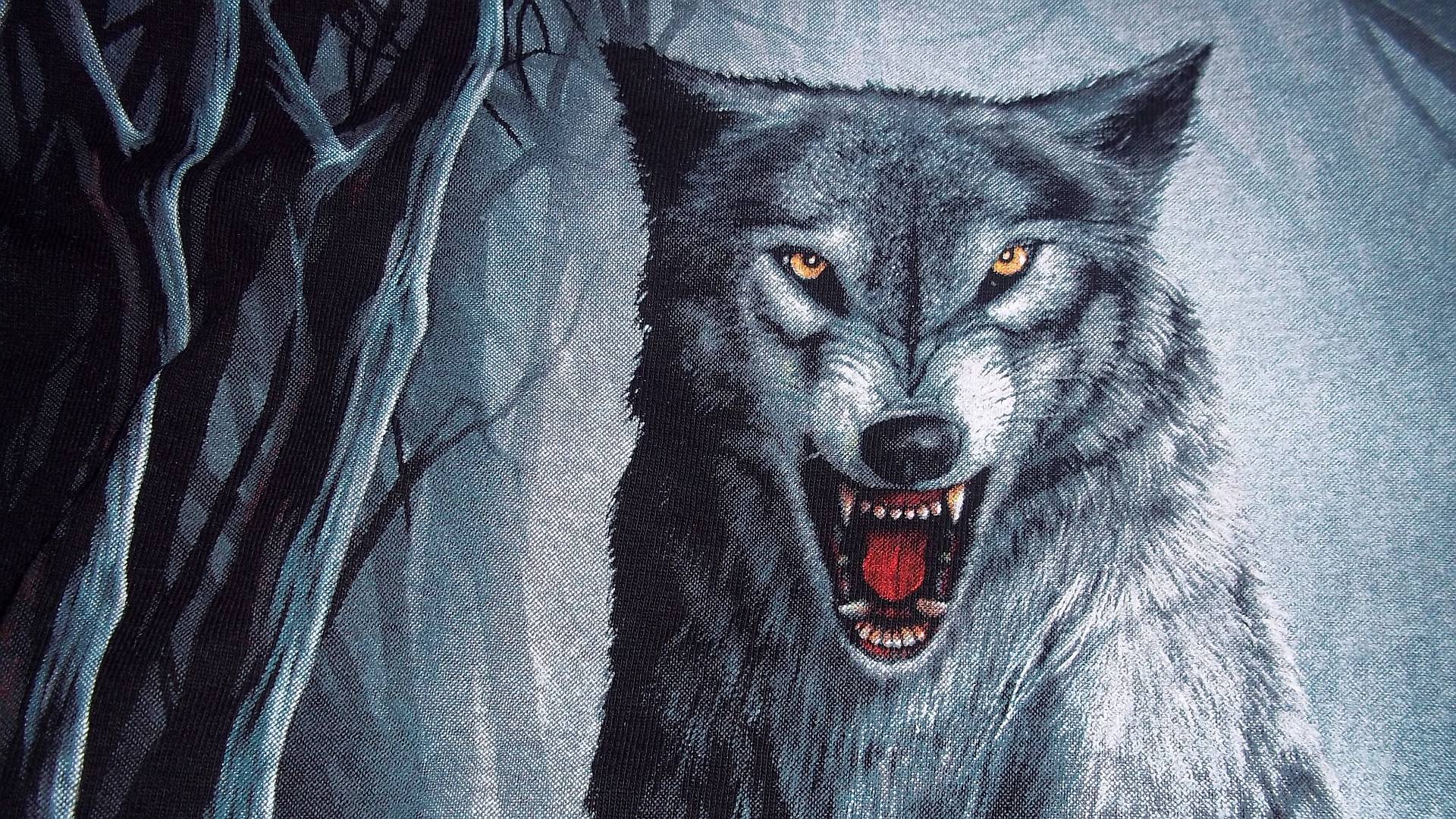 Wolf Wallpaper Free Download