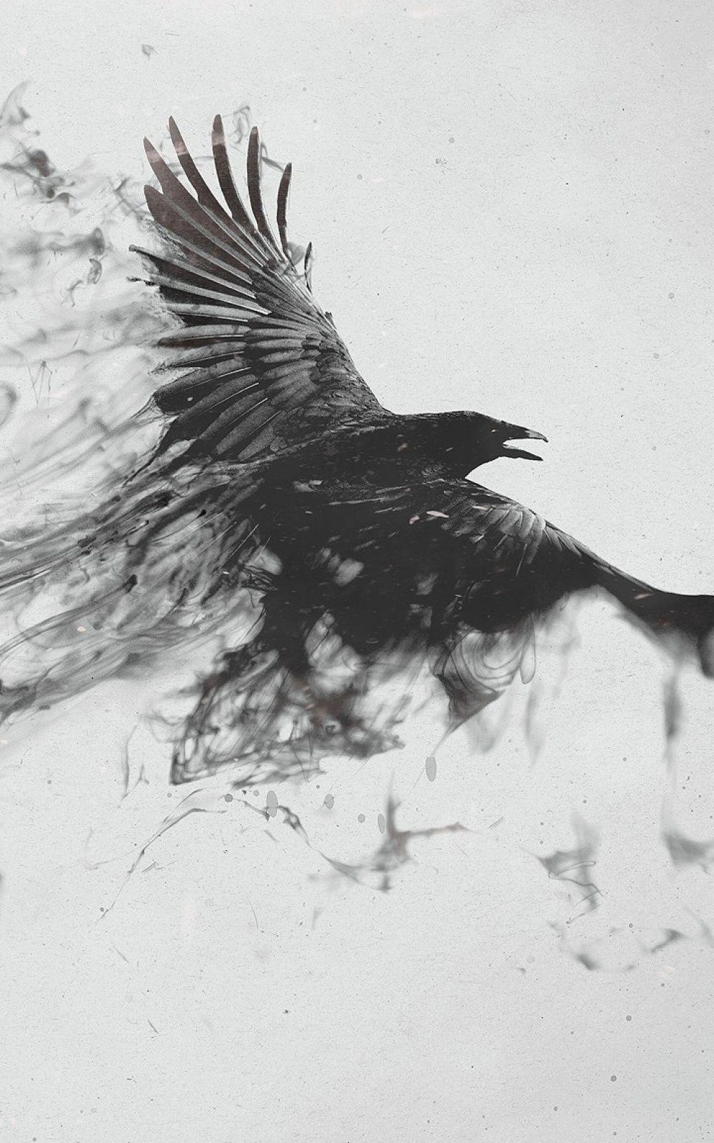 Black Smoke Crow Android Wallpaper free download
