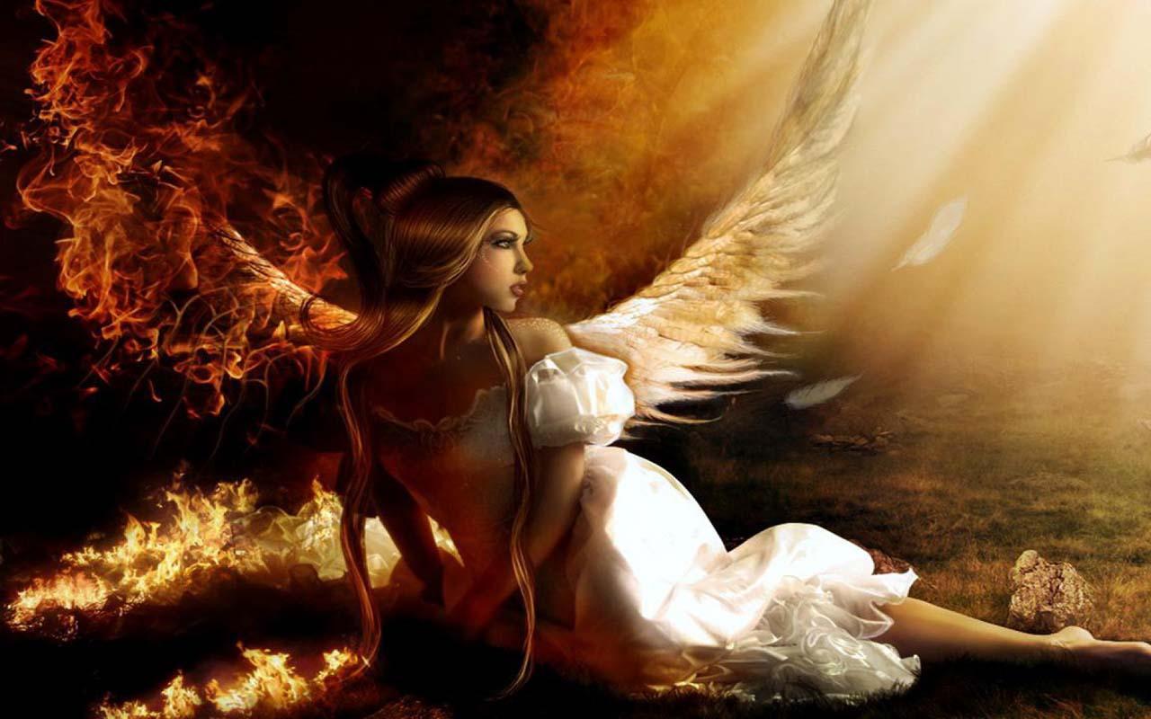 Download 5D Angel Wallpaper for android, 5D Angel Wallpaper 1.0