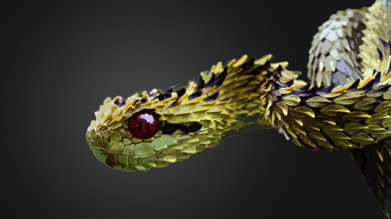 Closeup photo of green viper snake HD wallpaper