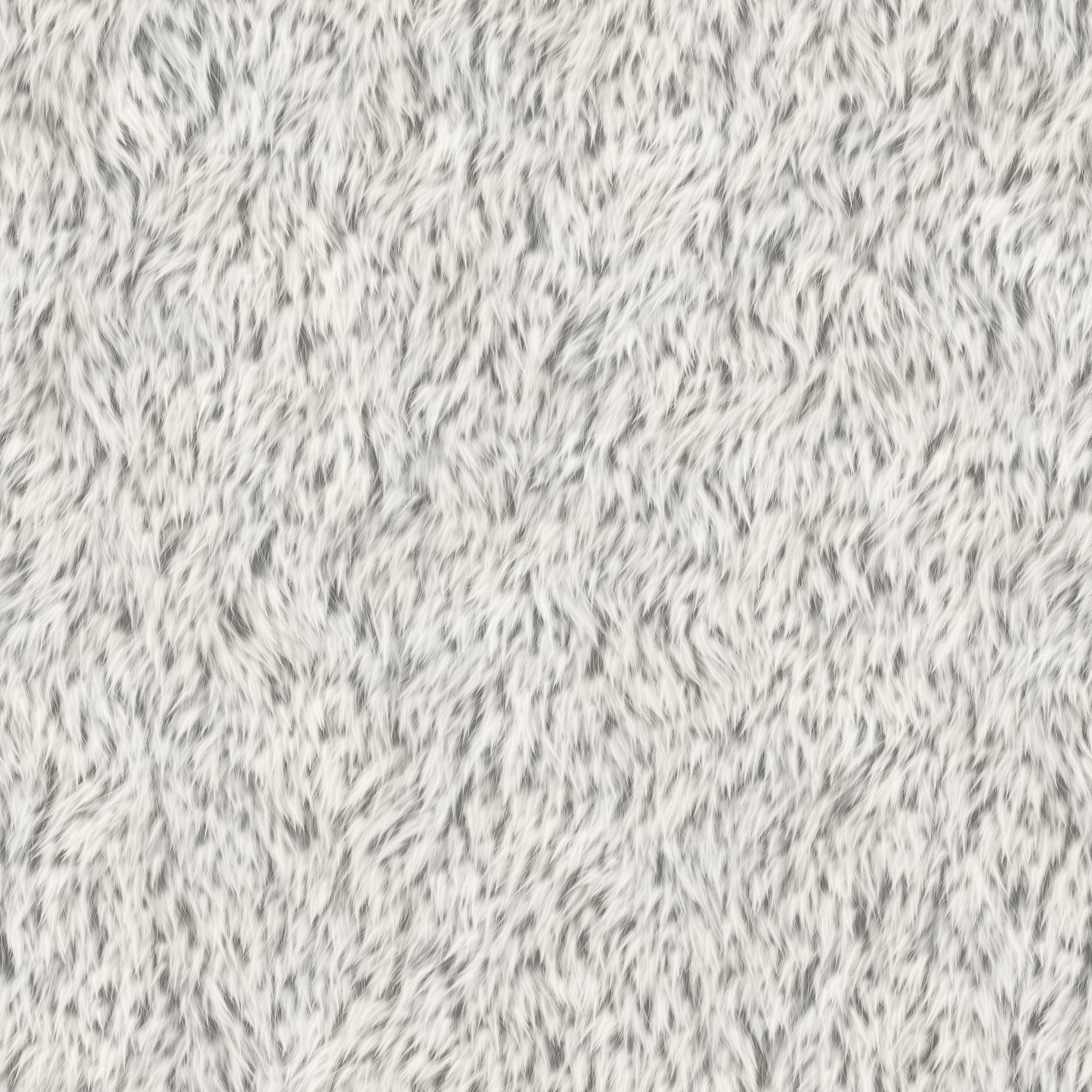 Short White Fur Texture Background. Free