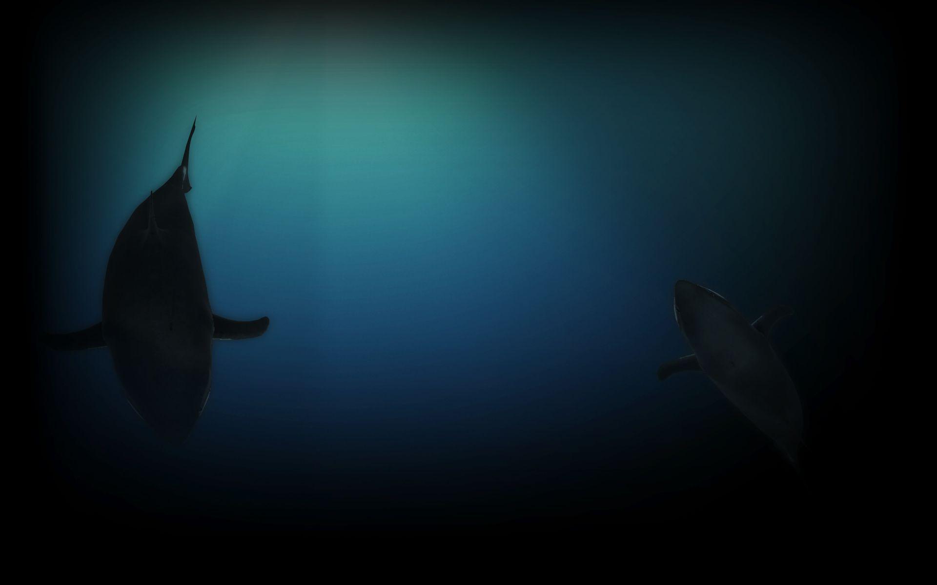 Steam Community Market - Listings For 377140 H2o Shark Background