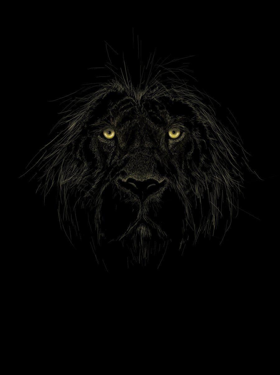 Black Lion. Black Lion By Ian Somers. Rawrrrrrr, It''s A Cat Thing