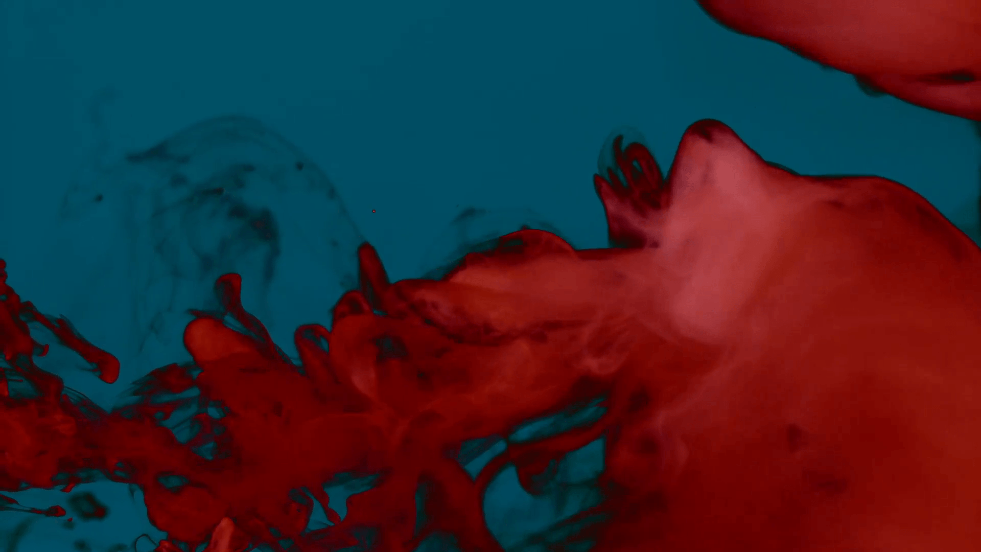 Carmine red smoke on a plain dark blue background, creating volutes