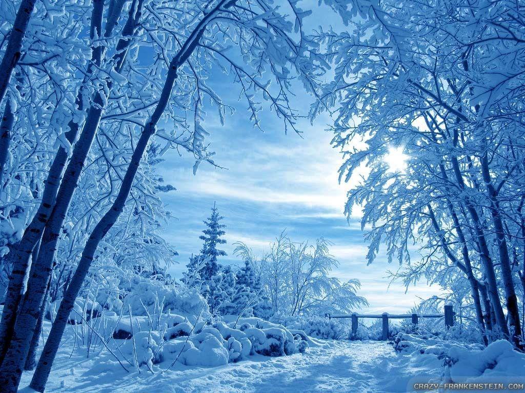 winter nature scenes wallpaper