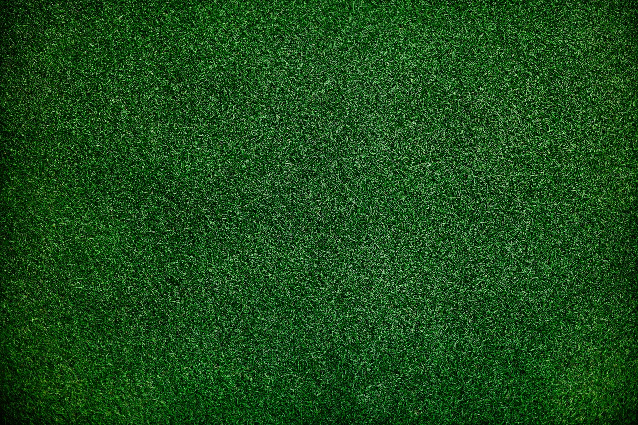 Featured image of post Beautiful Green Background Images Hd free for commercial use high quality images