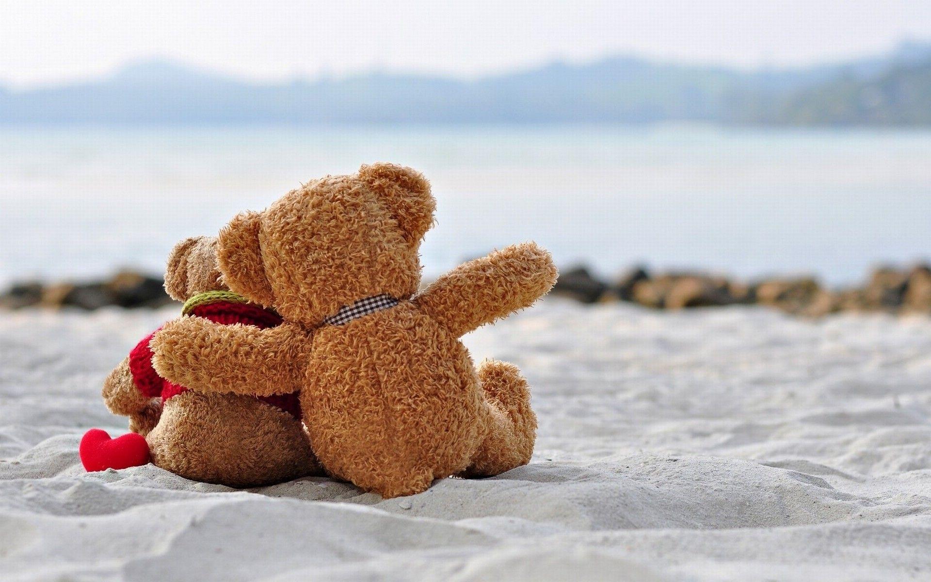 Teddy Bear Wallpaper Hd Full Size Carrotapp