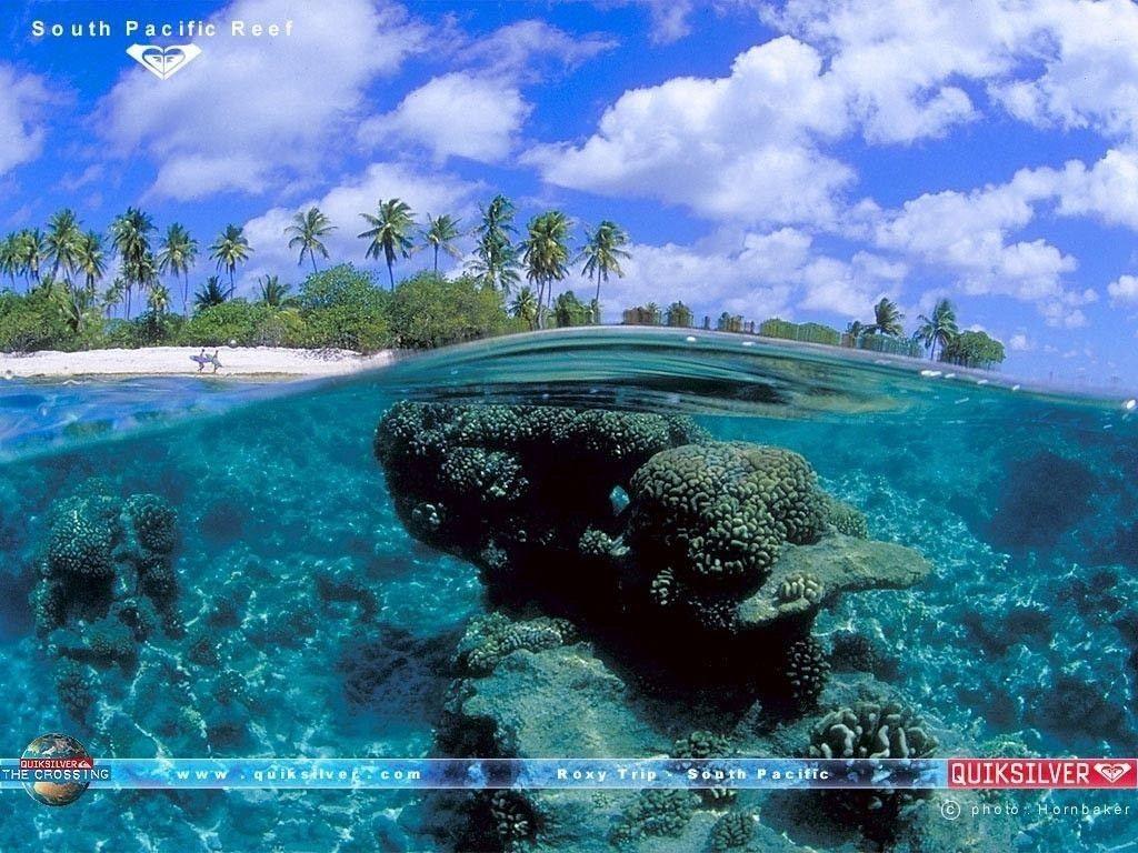 Download free Samsung F roxy wallpaper most downloaded last 800×600