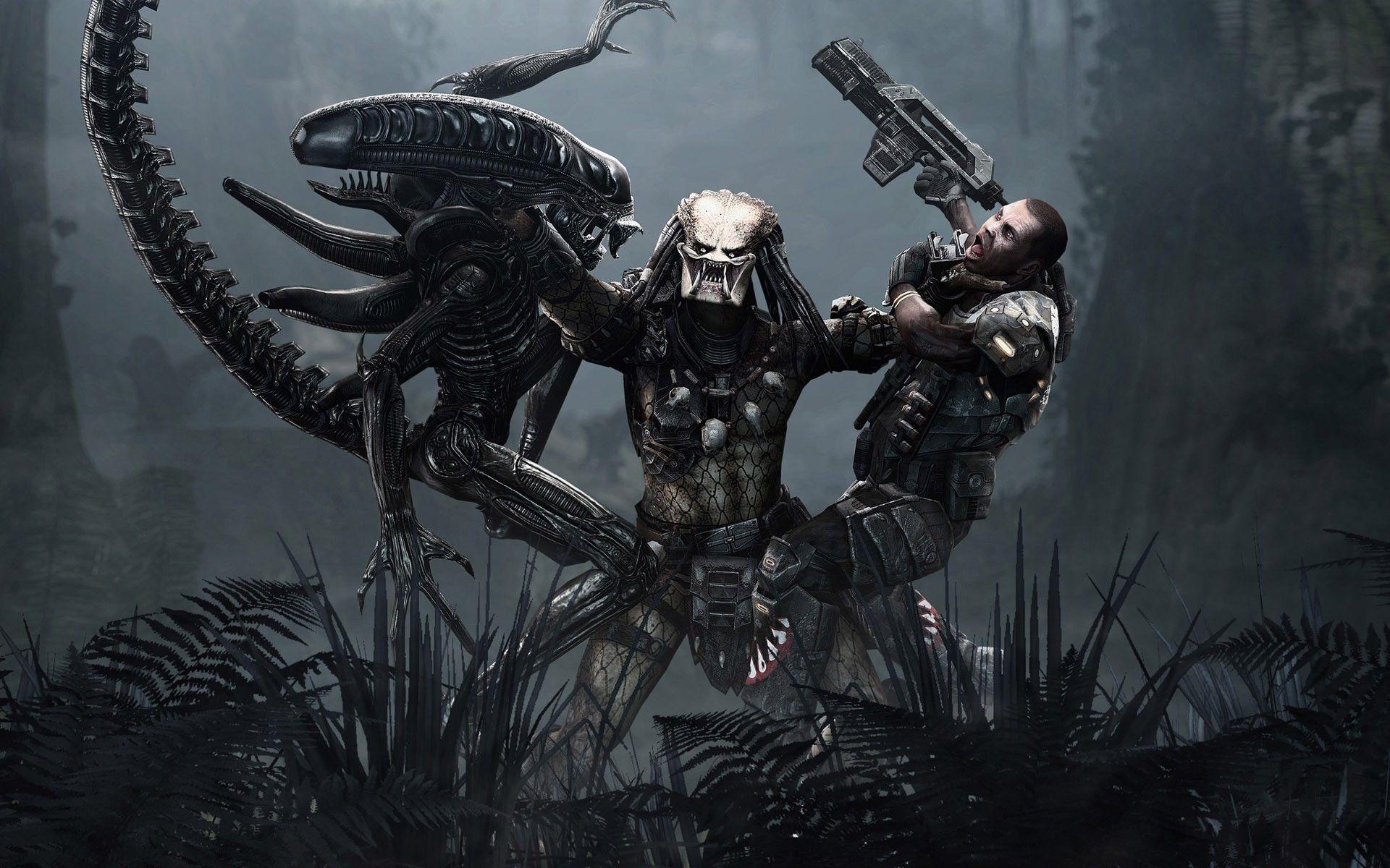 Aliens Vs Predator Wallpapers Hd Wallpaper Cave Images, Photos, Reviews