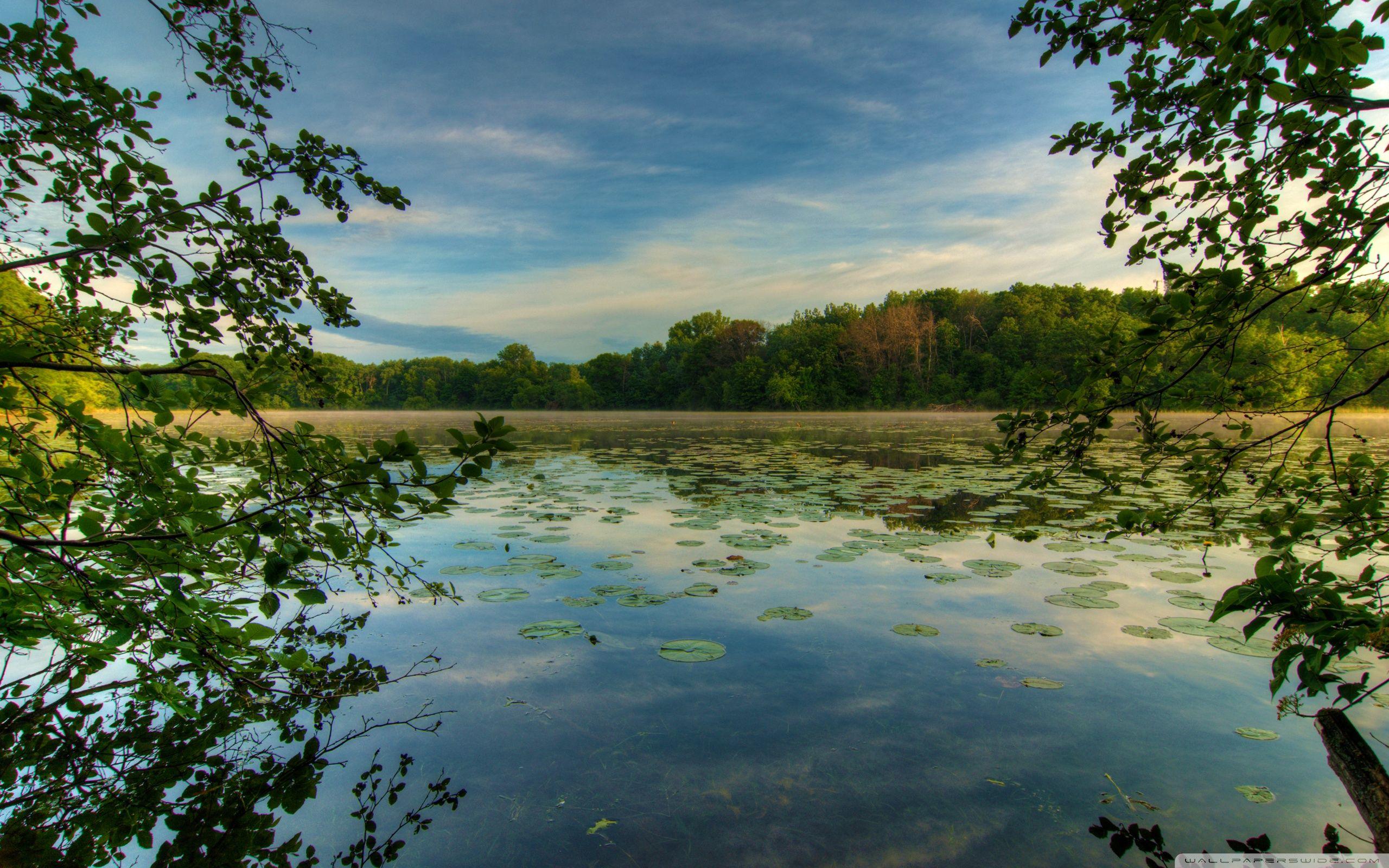 Jensen Lake, Lebanon Hills Park, Eagan, Minnesota ❤ 4K HD Desktop
