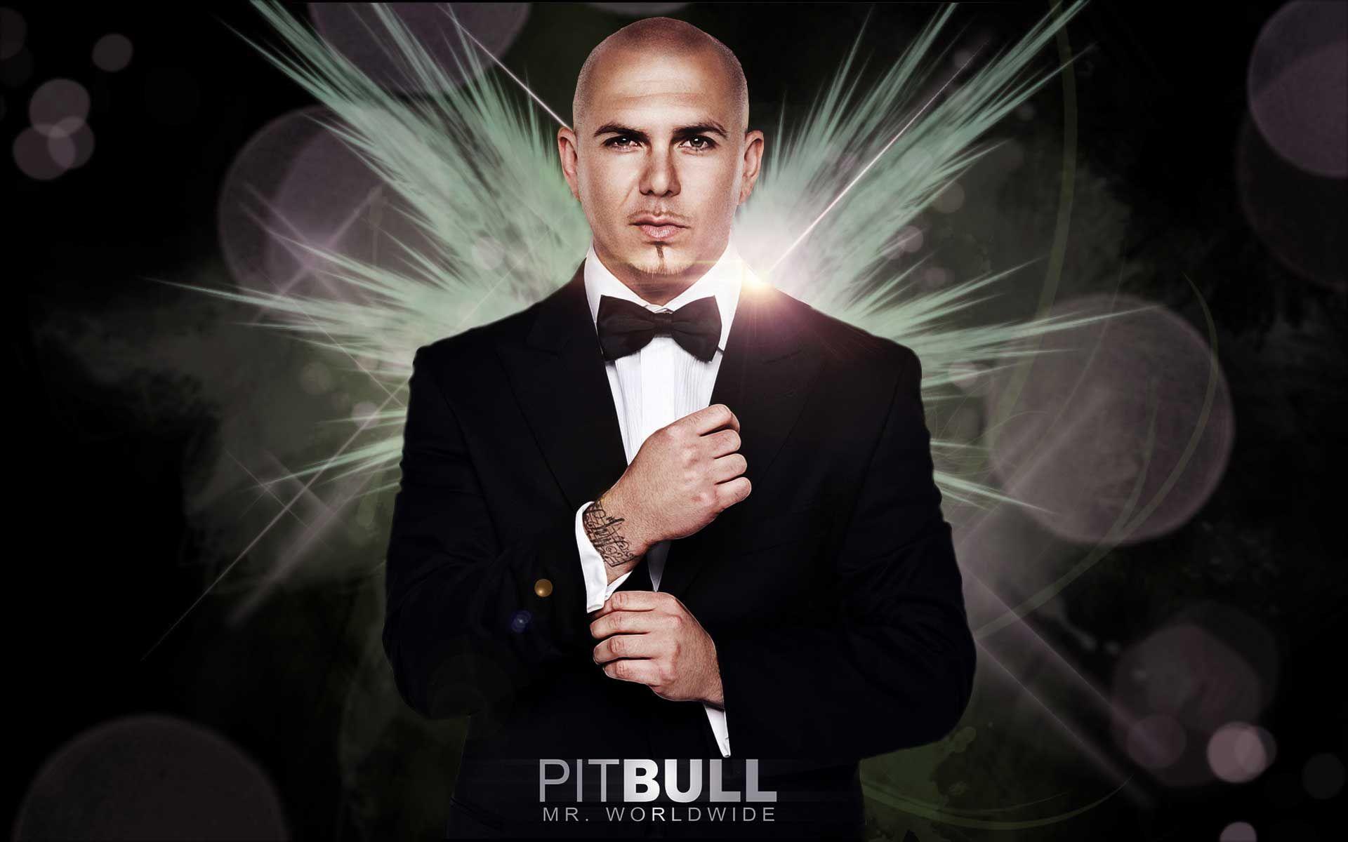 Pitbull Rapper HD Wallpaper