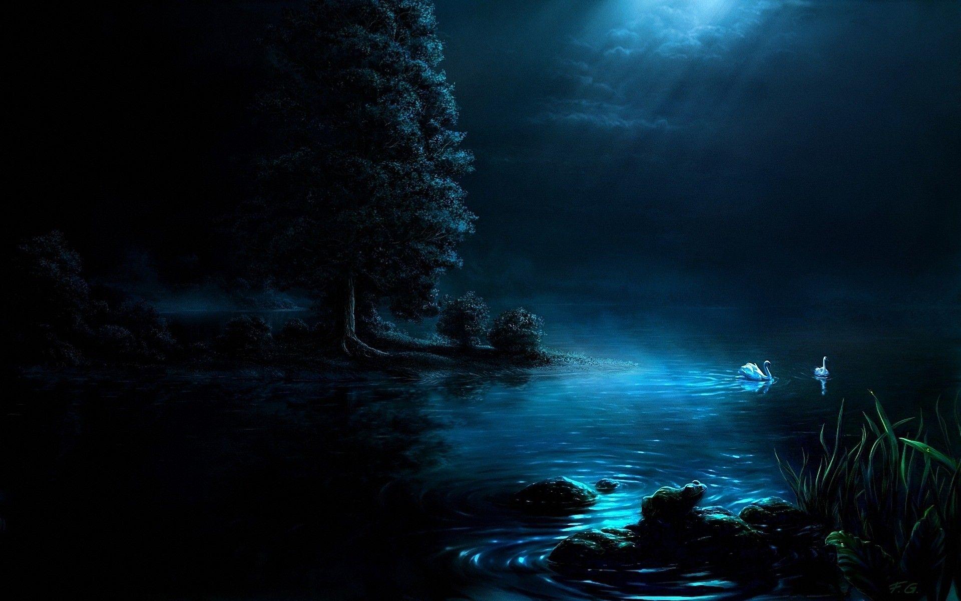Hd Nature Night HD Desktop Wallpaper, Instagram photo, Background