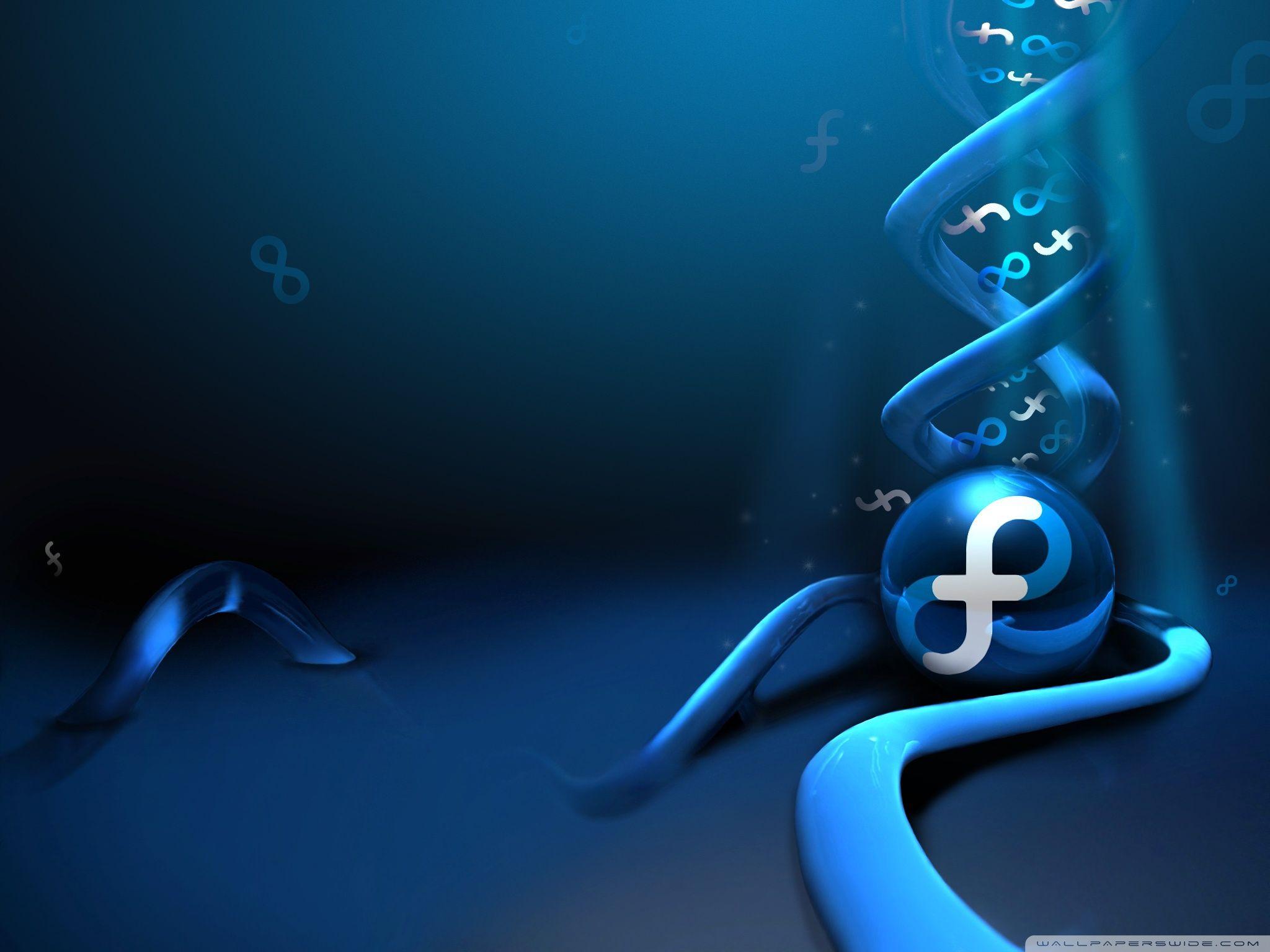 Linux Fedora ❤ 4K HD Desktop Wallpaper for 4K Ultra HD TV • Wide