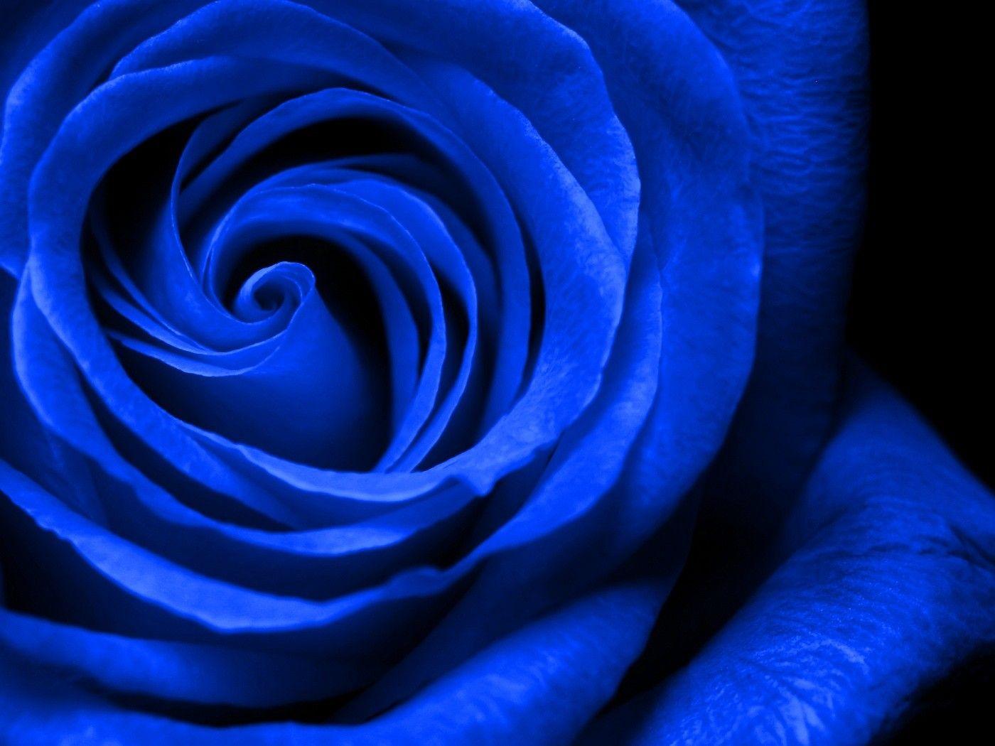 Royal Blue Colore Wallpapers - Wallpaper Cave