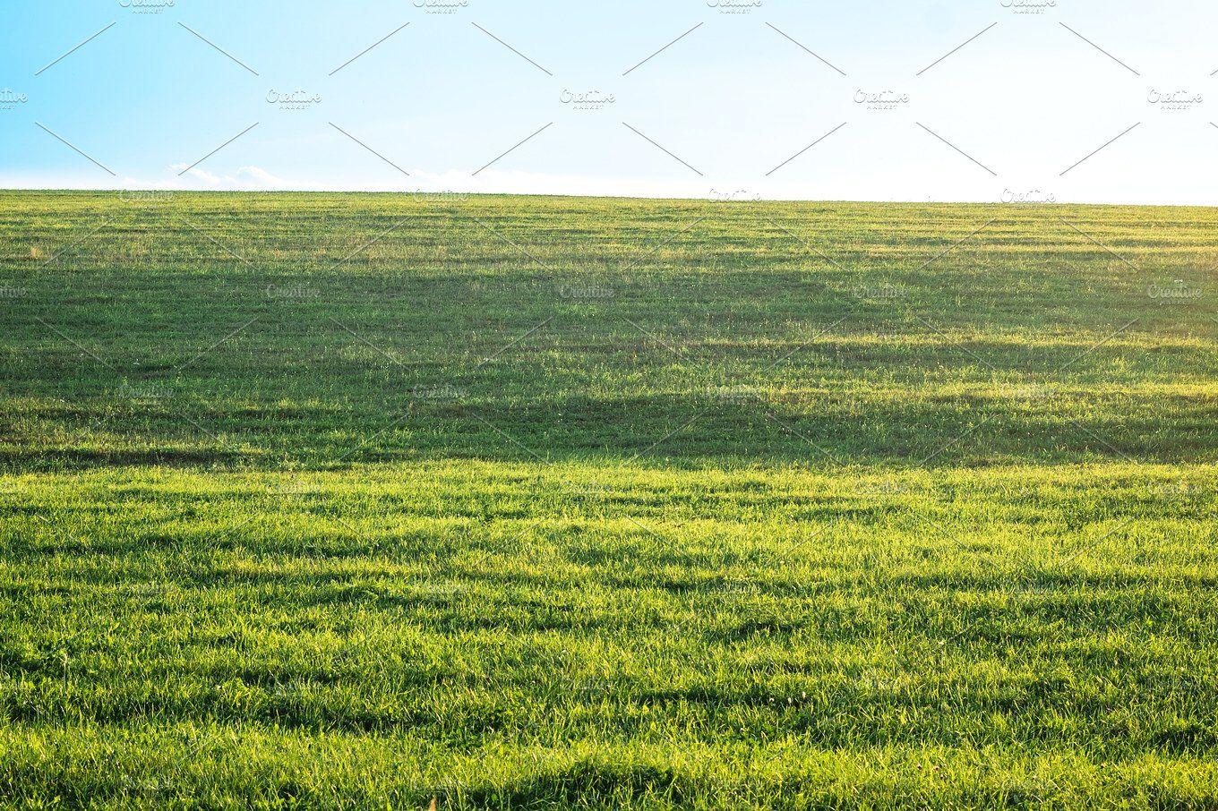 Background photography of bright lush grass field under blue sunny