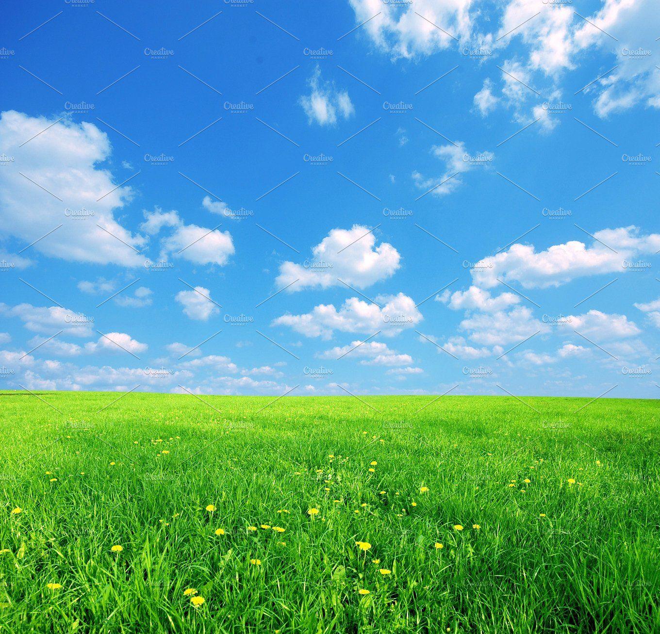 Sunny spring landscape. Nature Photo Creative Market