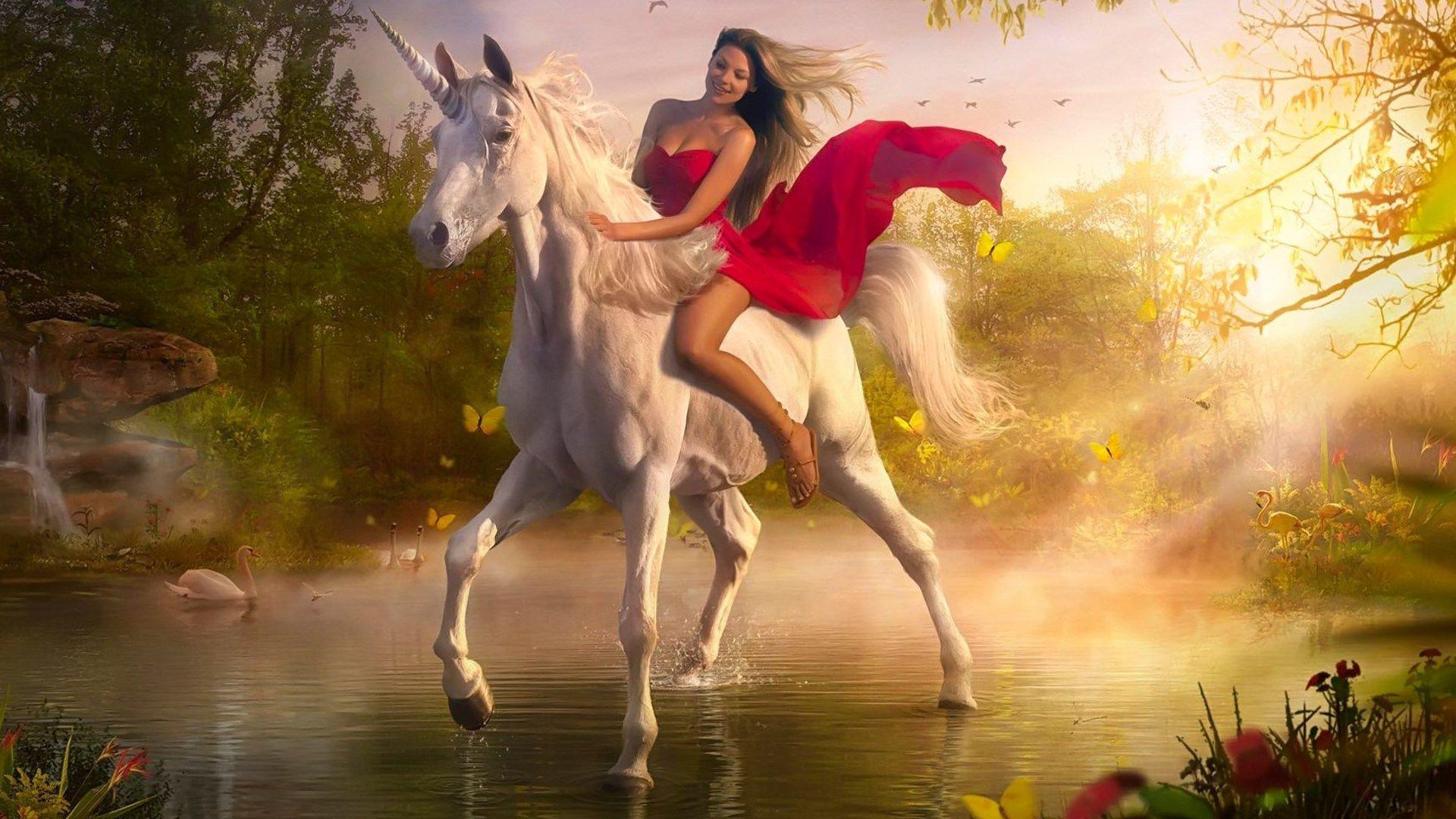 photos unicorn HD wallpaper 1. ololoshenka. HD