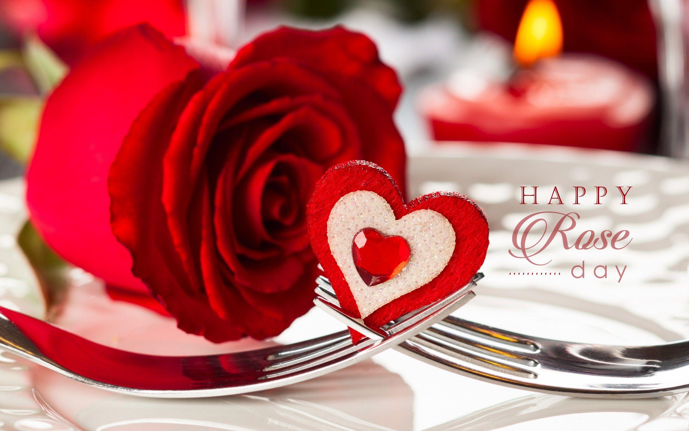 Valentine's Day Romantic Red Roses HD Wallpaper Free