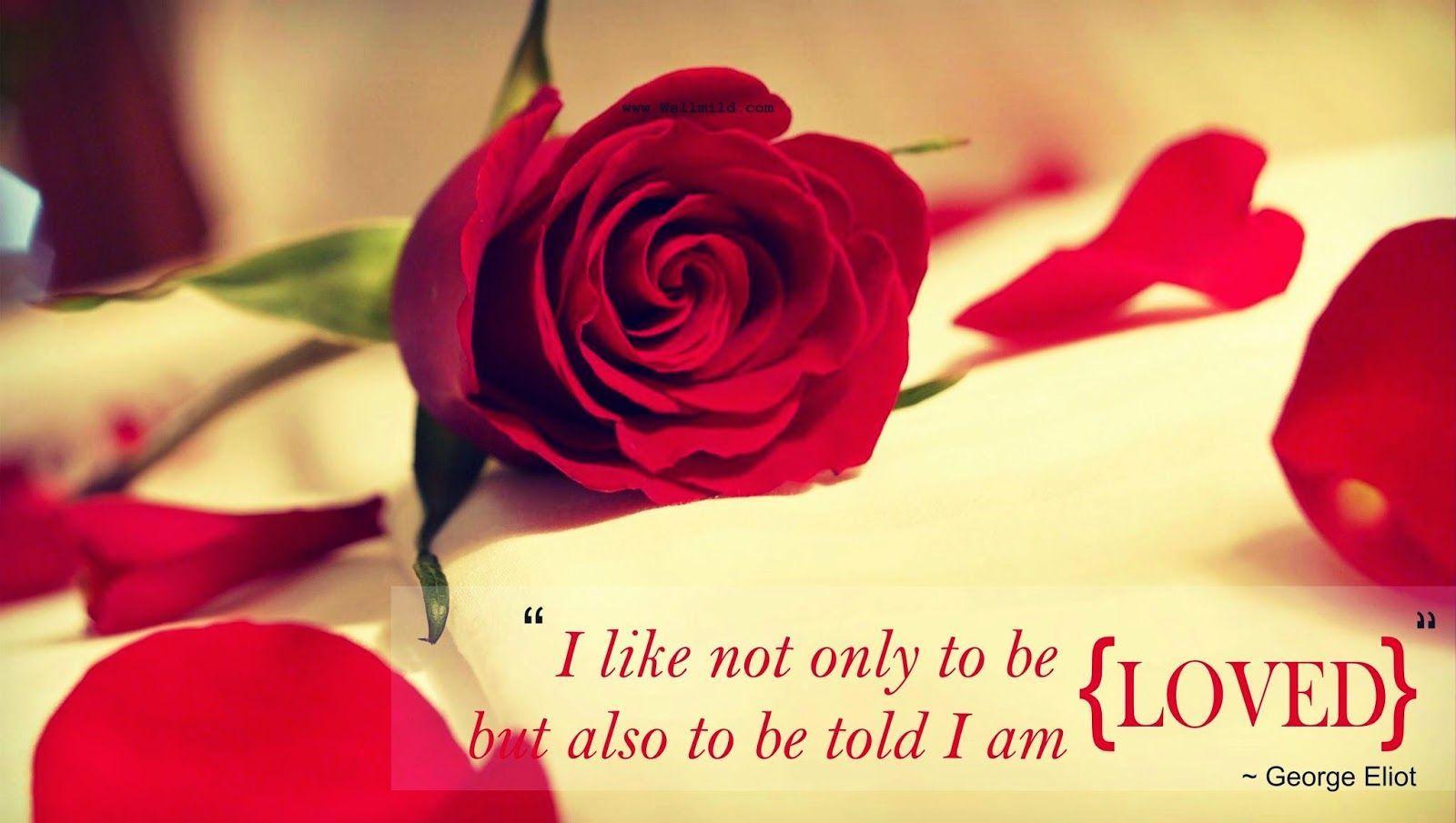 beautiful different colours romantic quotes in flowers