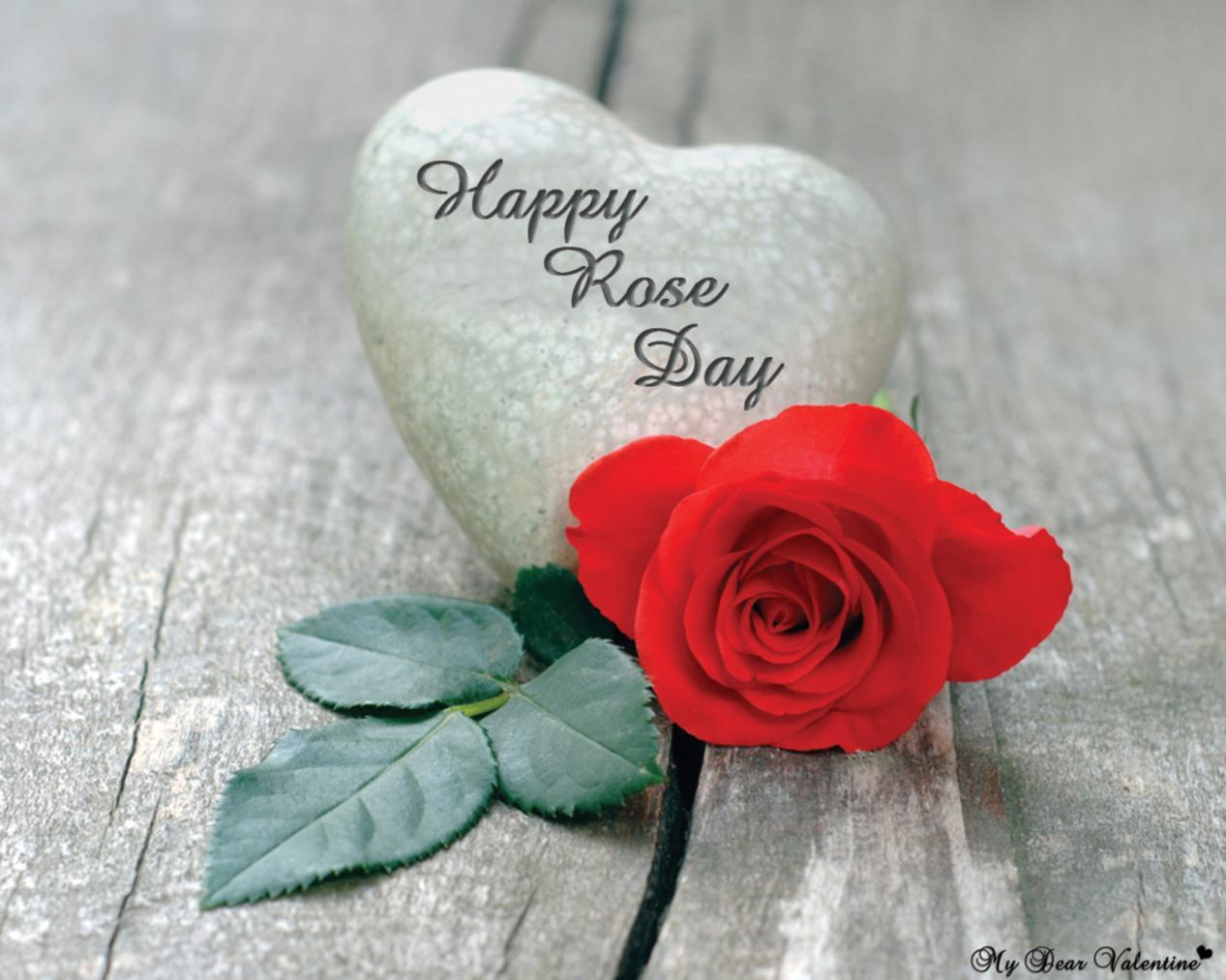 Rose Day Pics (HD Image), Status & Funny Roses are Red Poems