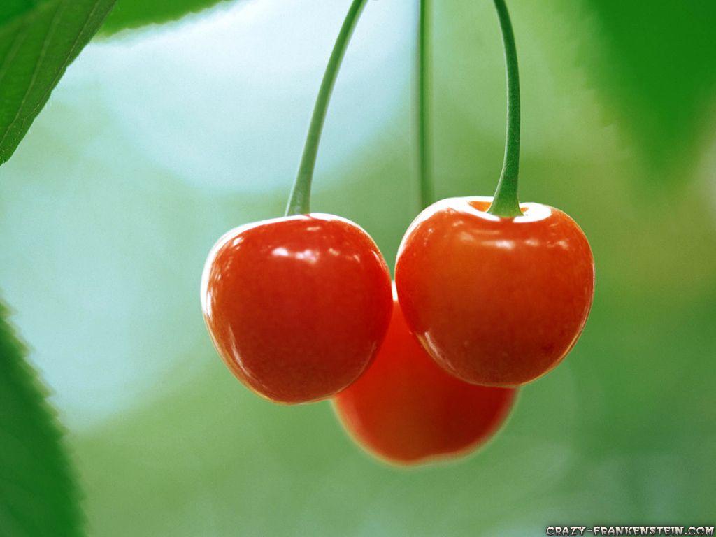Cherry Fruit wallpaper