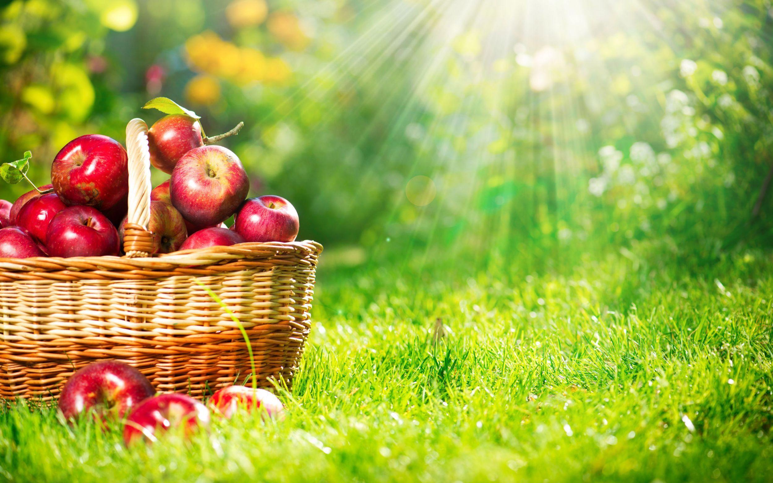 Amazing Fruits Wallpaper