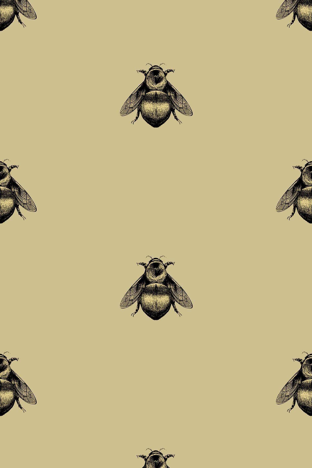 Timorous Beasties Wallcoverings Bee wallpaper